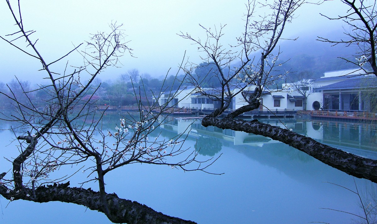 超山梅韵 烟雨如画