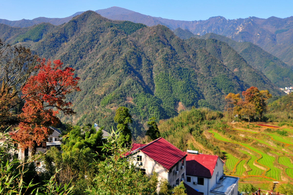 红叶指南村