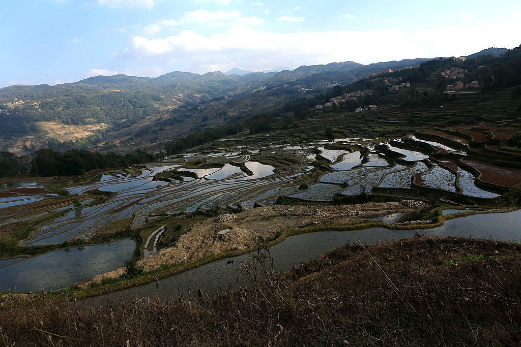 云南元阳梯田的箐口村