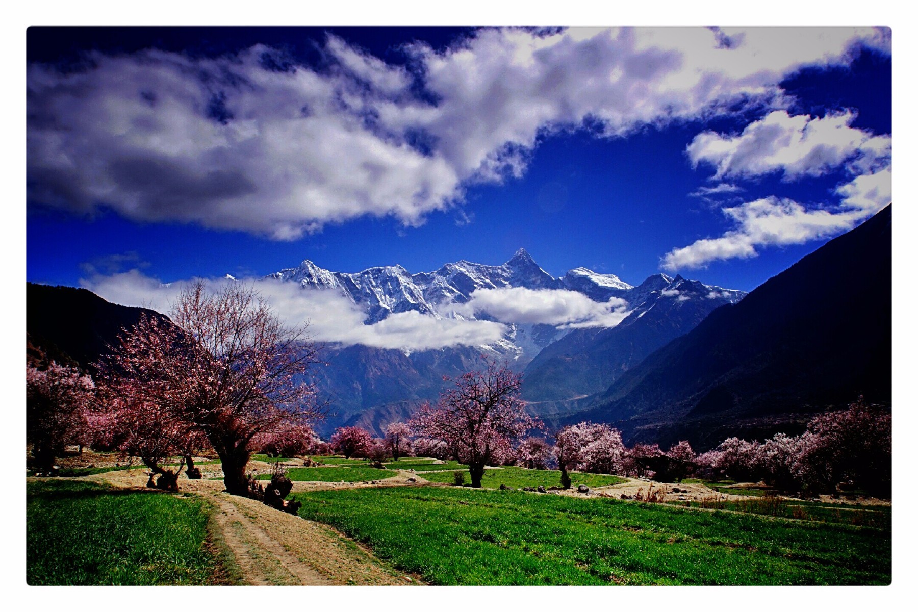 西藏林芝行摄—南伽巴瓦峰 索松村