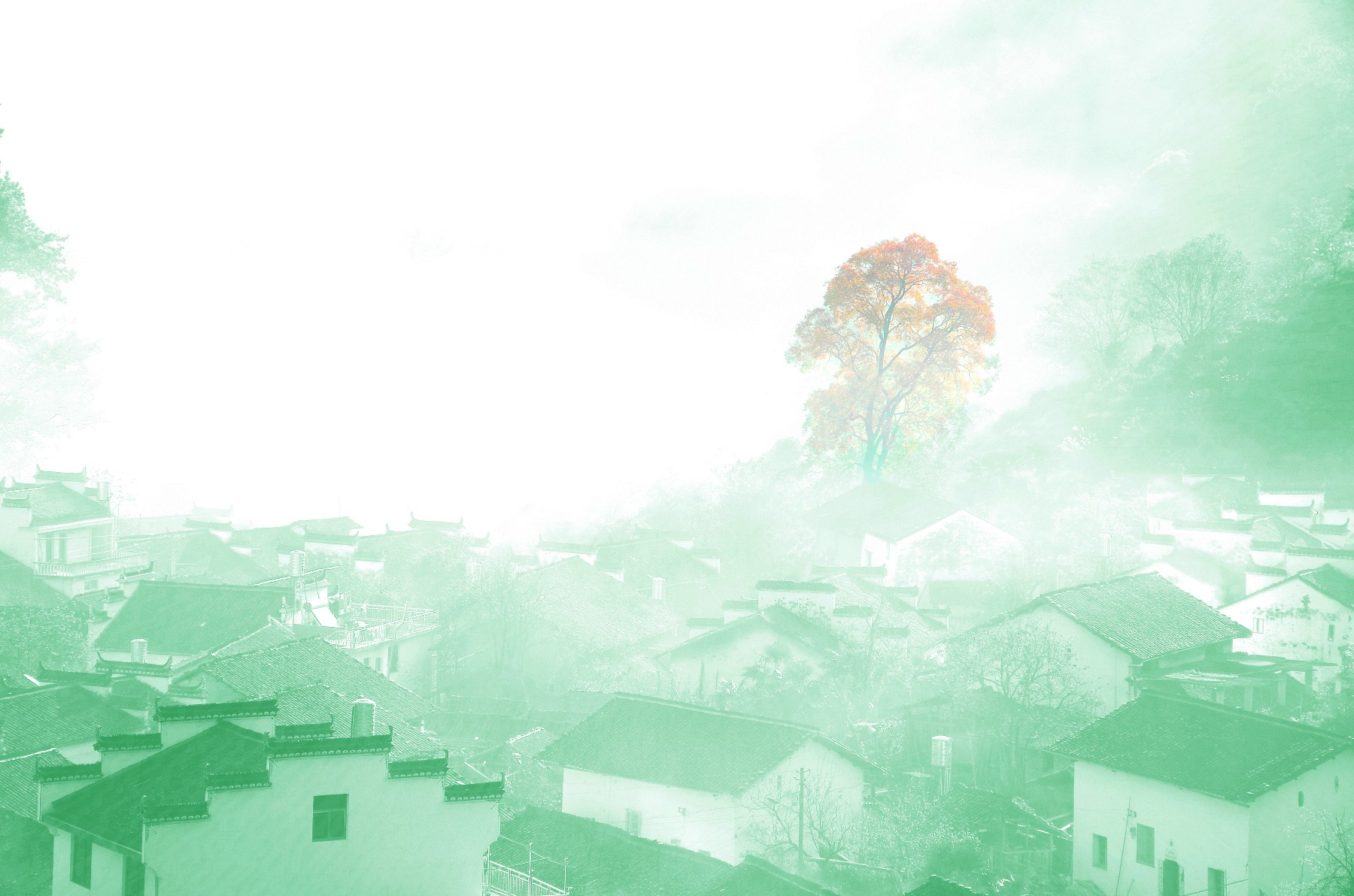 石城印象