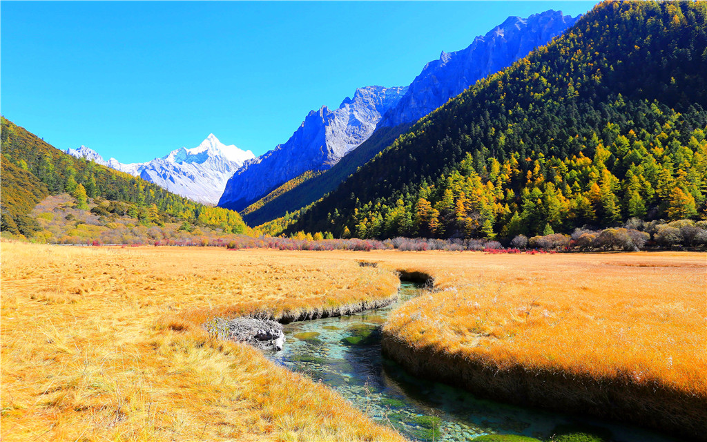 稻城.亚丁洛绒牛场_游侠客摄影_摄影旅游站
