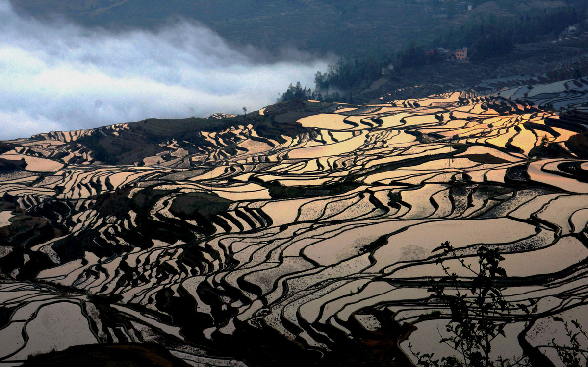 红河哈尼梯田