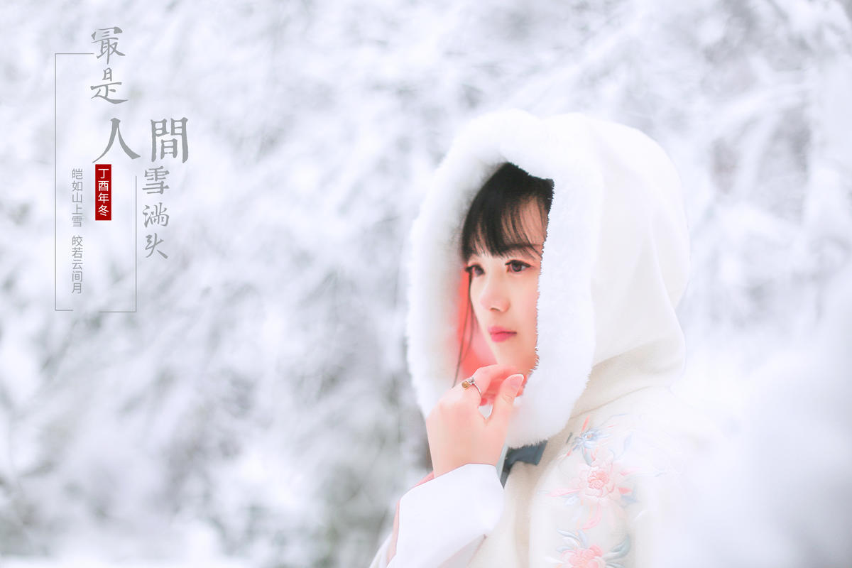 最是人间雪满头