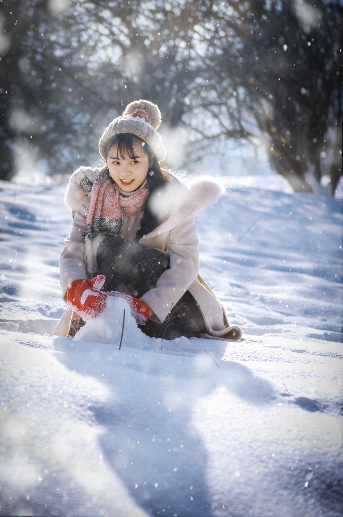 风吹雪花,静静缤纷.