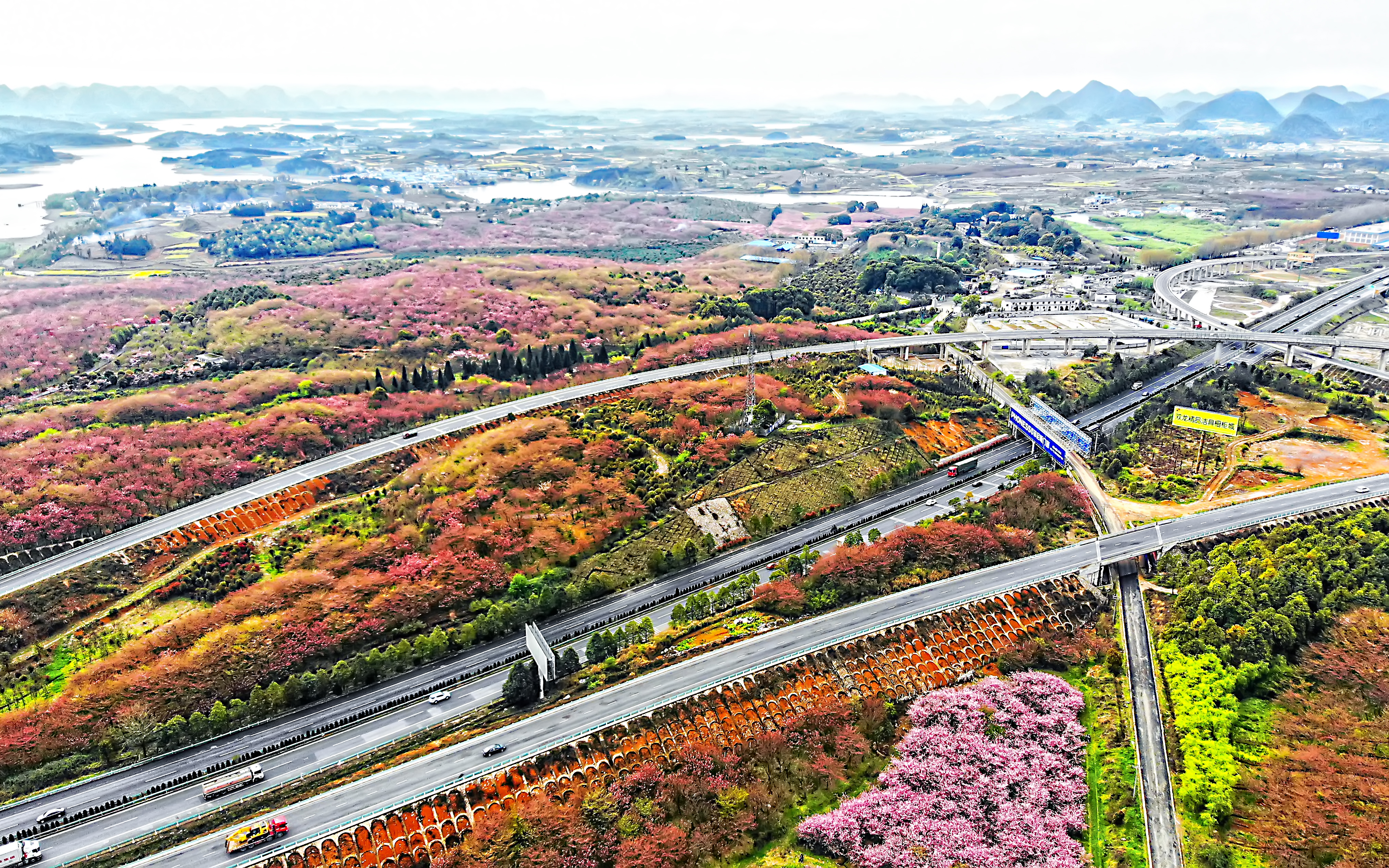 3.19航拍贵州平坝樱花