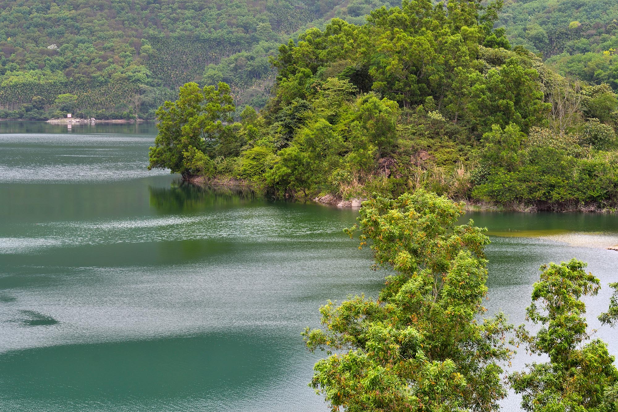 万泉河水清又清(源头)