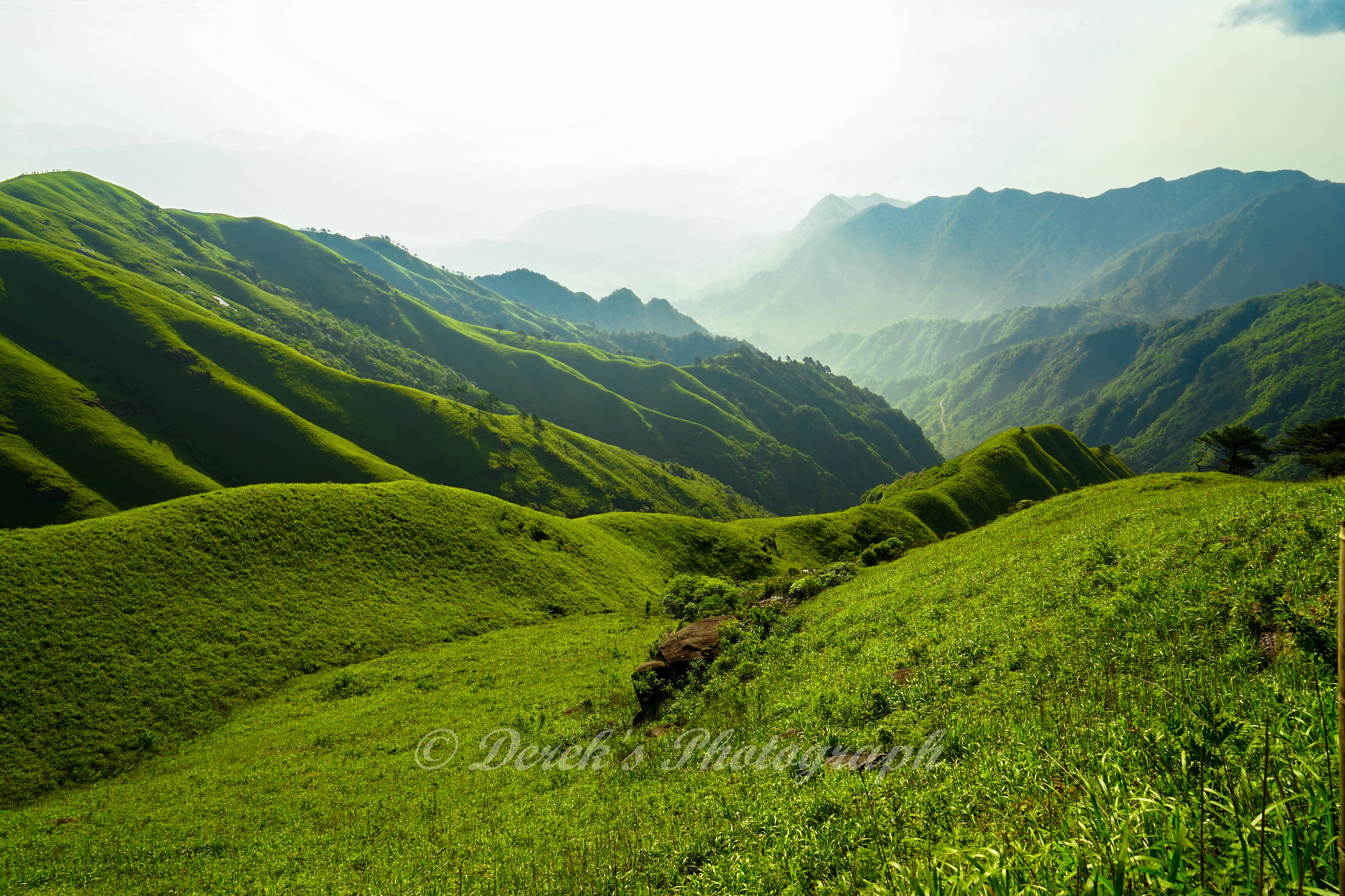 高山草甸