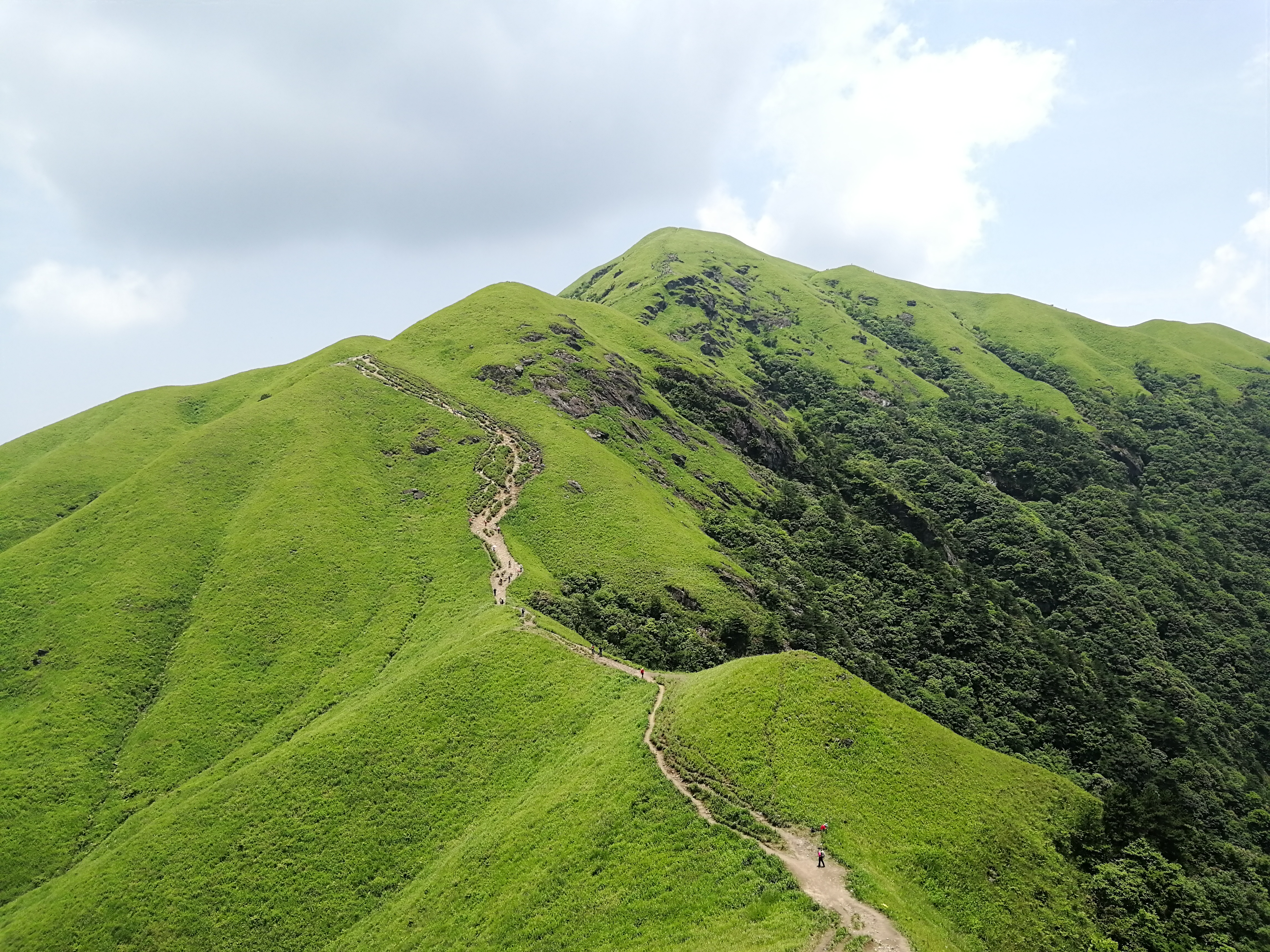 高山草甸