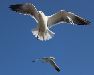 葡萄牙旅游_葡萄牙旅游线路_葡萄牙旅游攻略