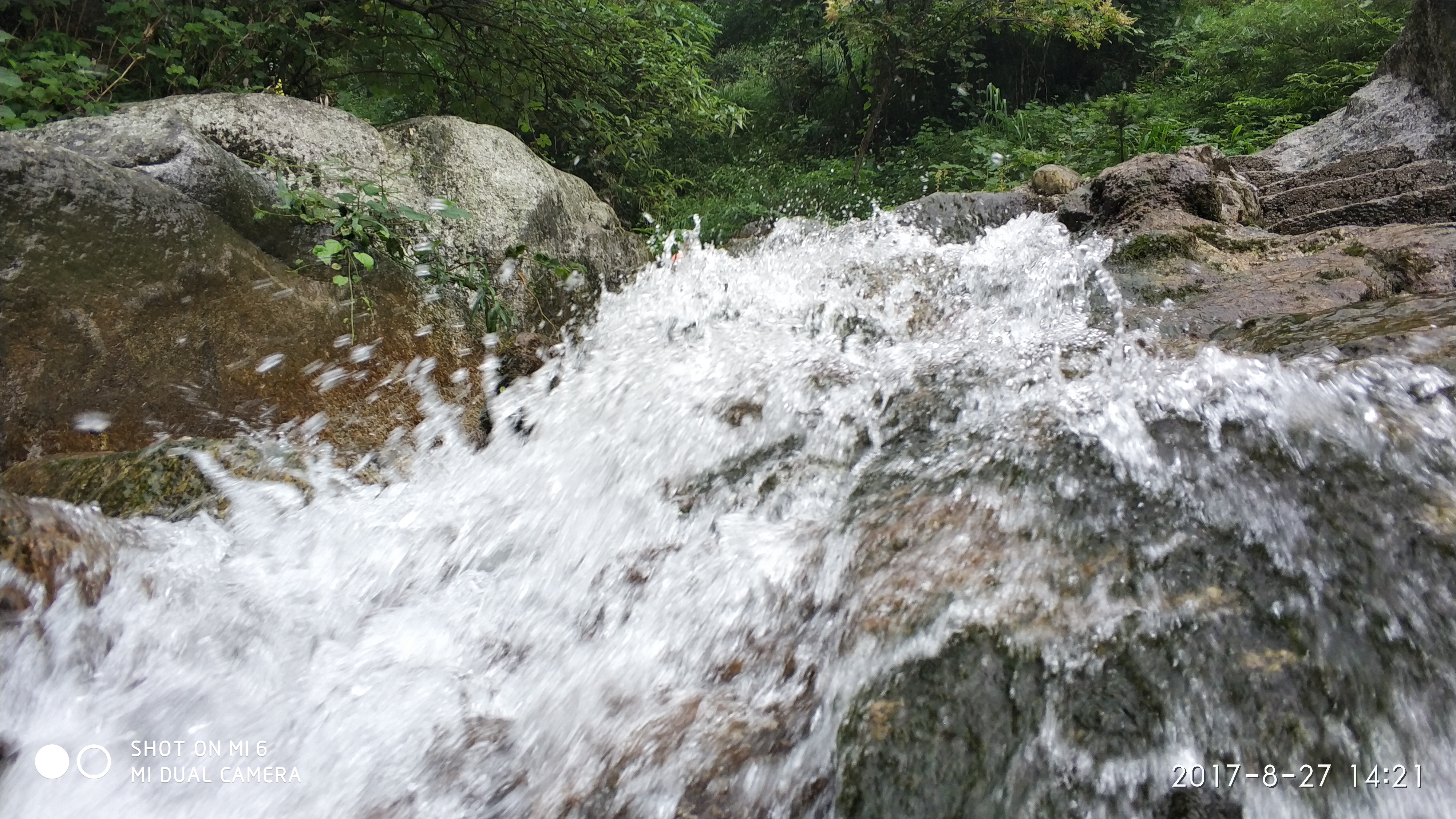 农夫山泉水源地徒步