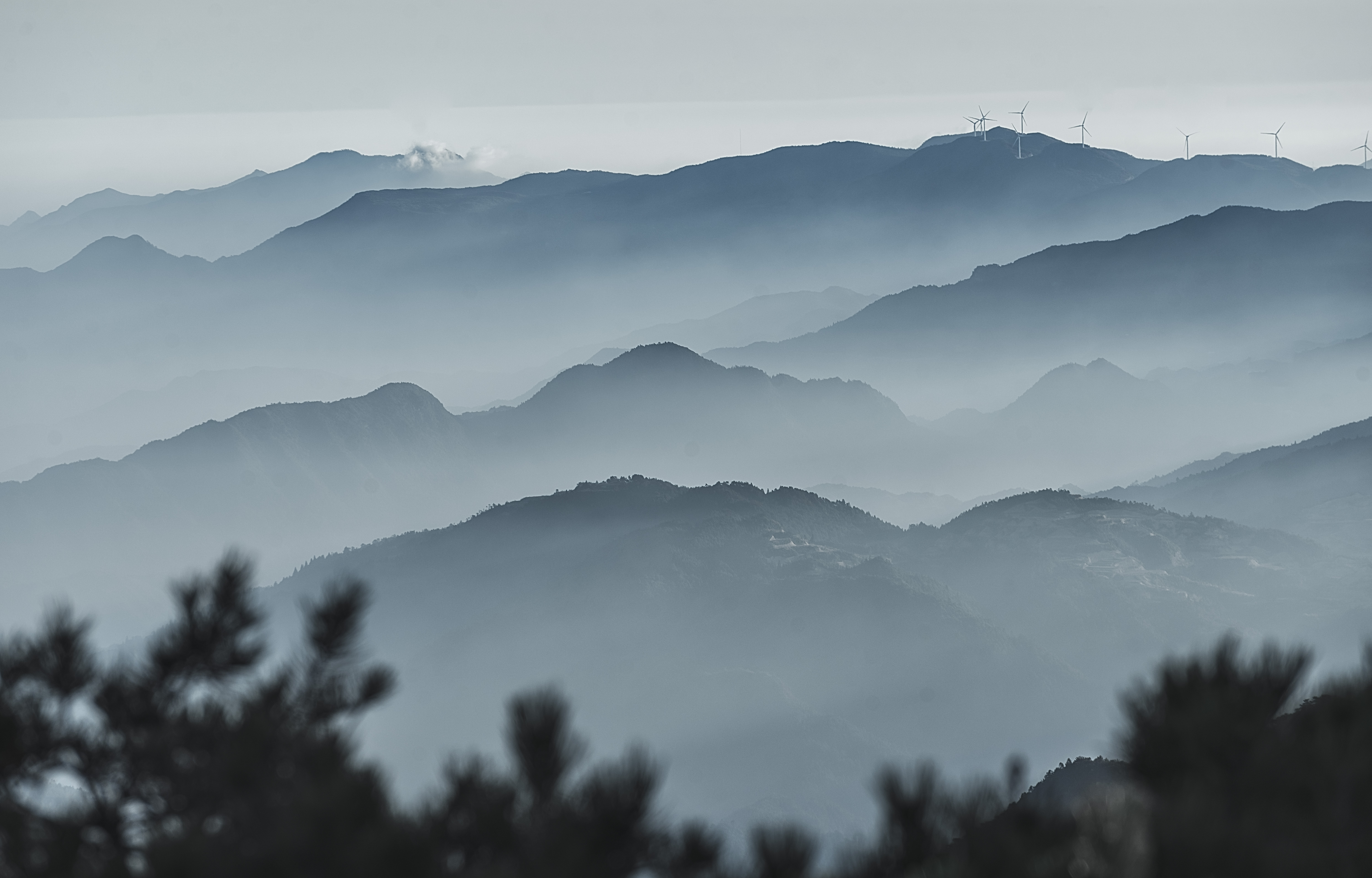 我见青山多妩媚
