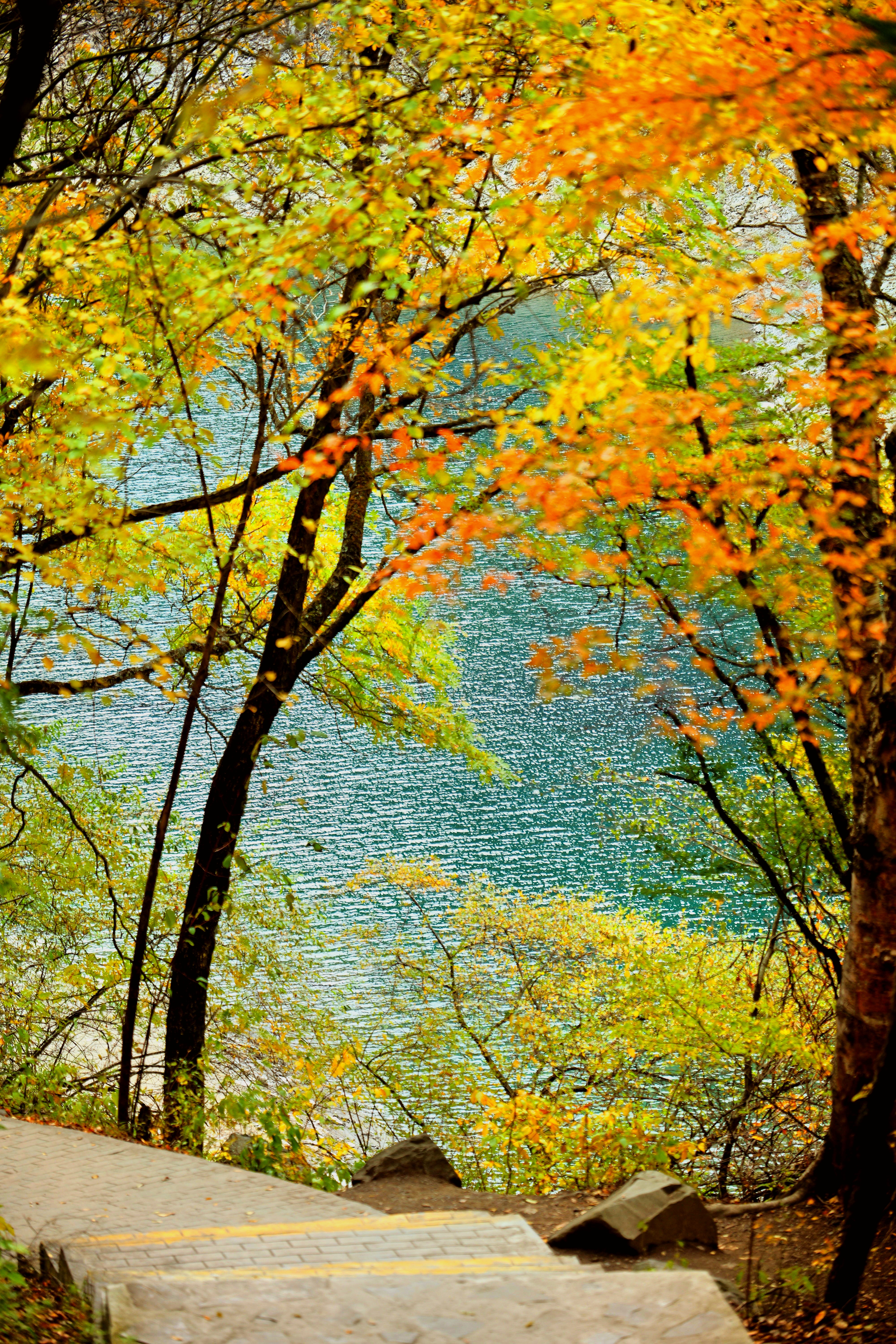 秋色宜人🍂