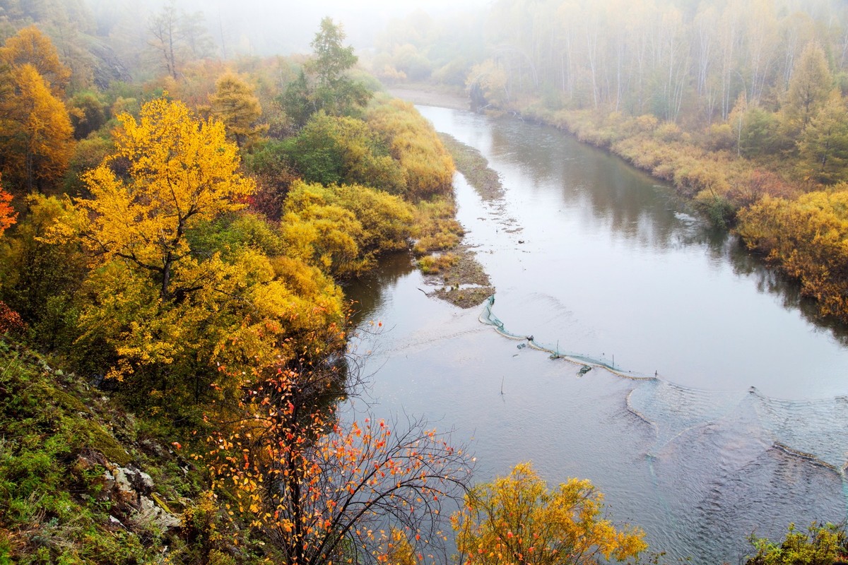 呼伦贝尔莫尔道嘎河的晨