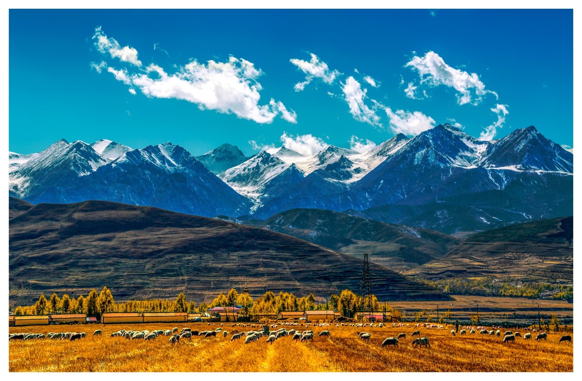 最新_青海省门源县_游侠客摄影_摄影旅游站