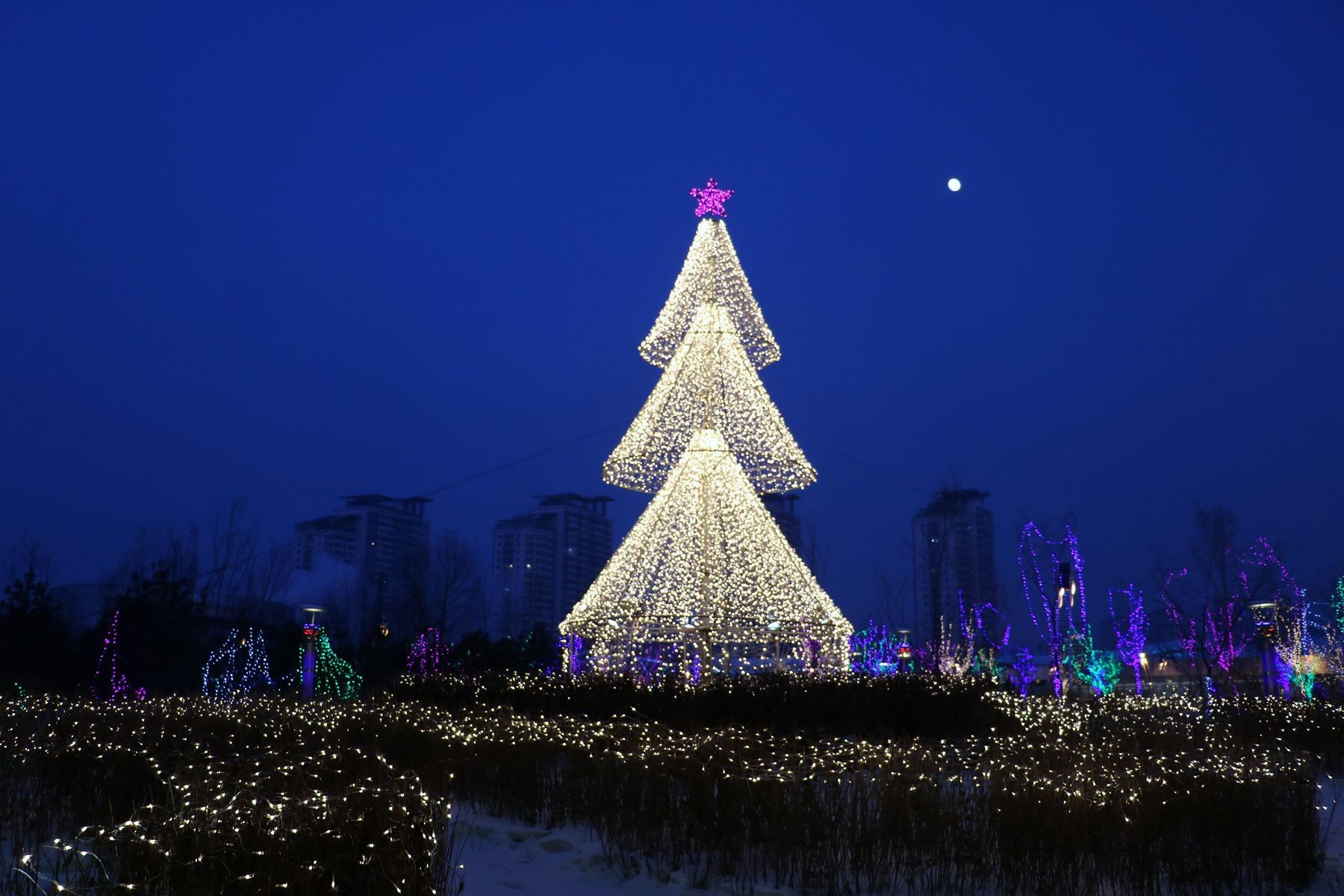 哈尔滨红博中央公园