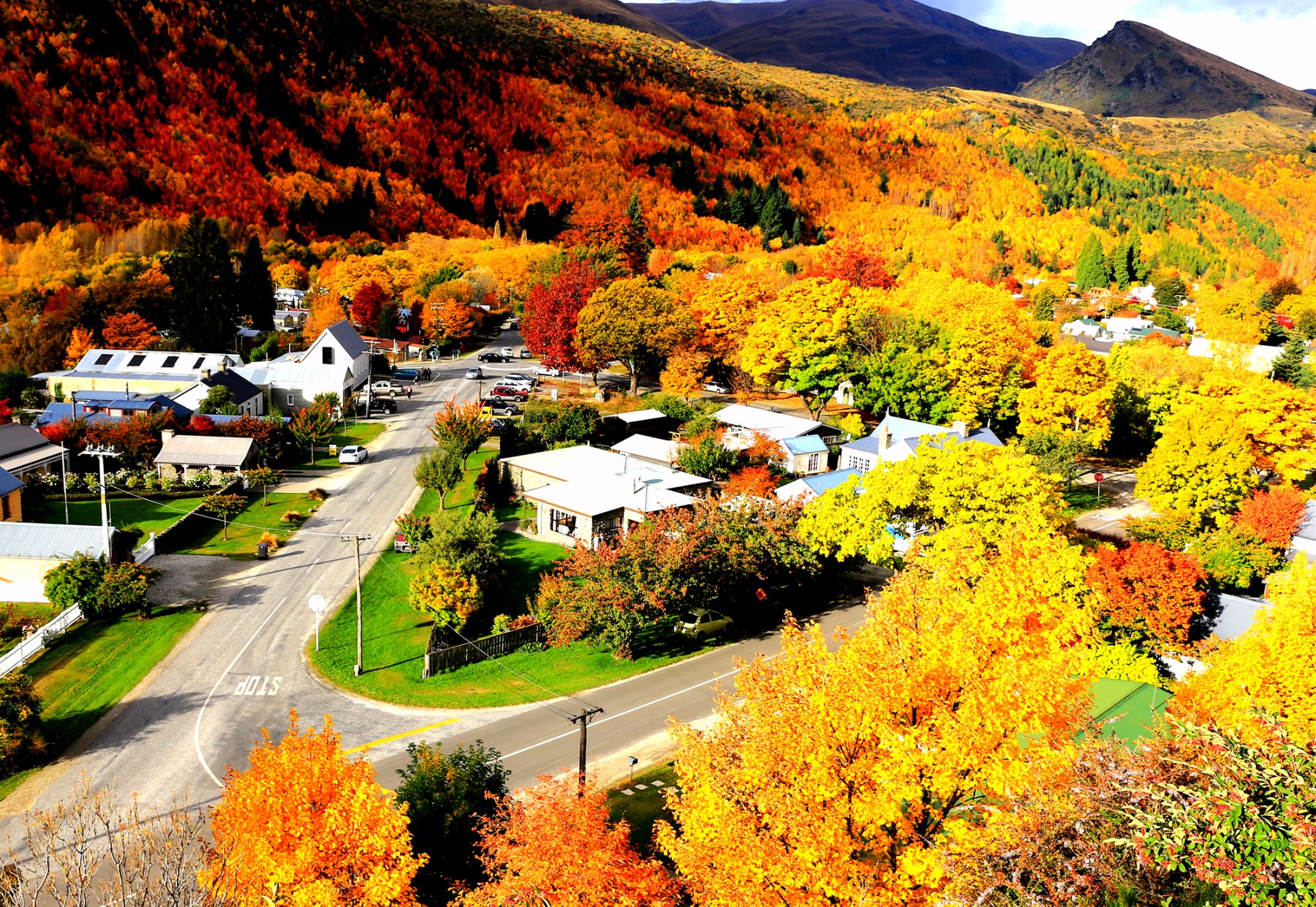 (新西兰)箭镇__专为秋天而生