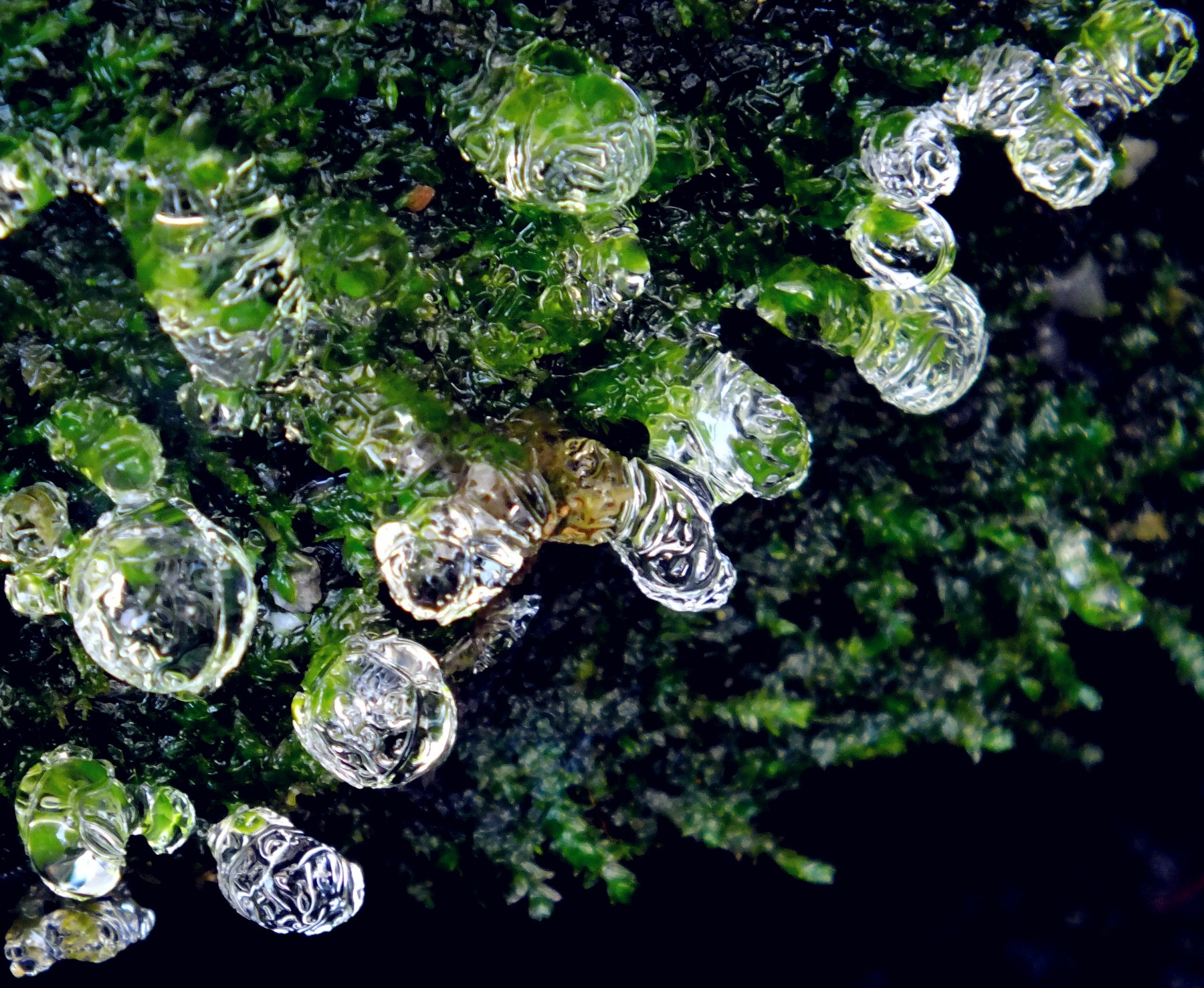 水的状态都呈现出来了