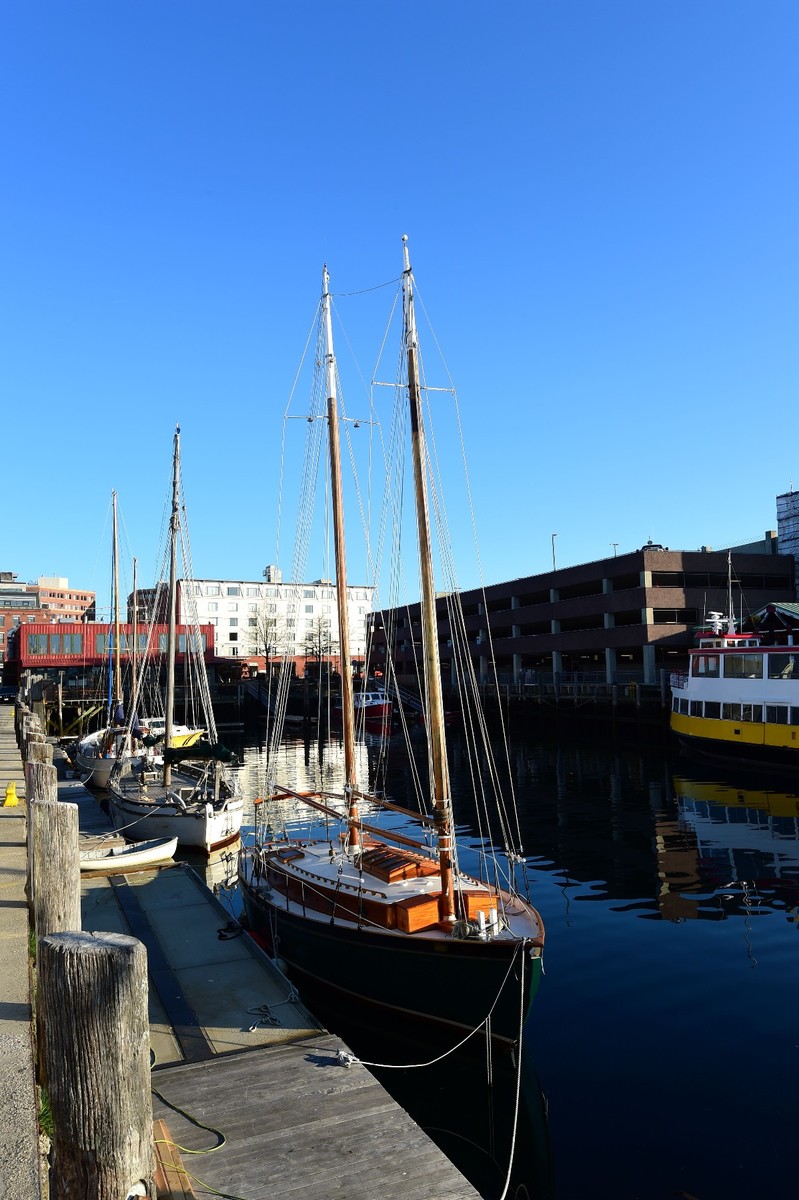 波特兰港湾(美国缅因州)