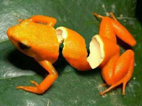 照片的前期&后期