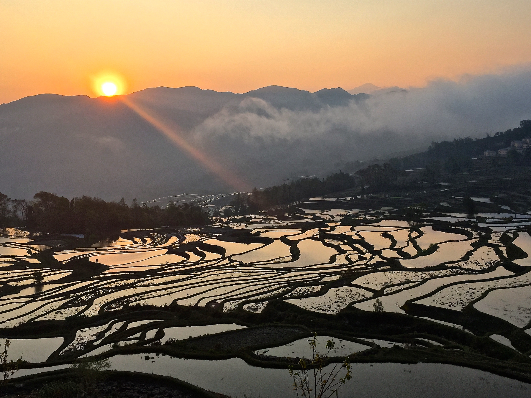 梯田日出