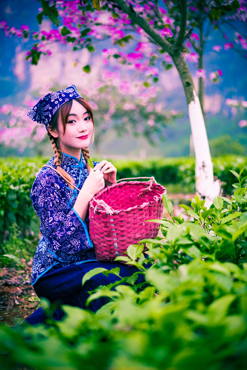 广东英西采茶女人像