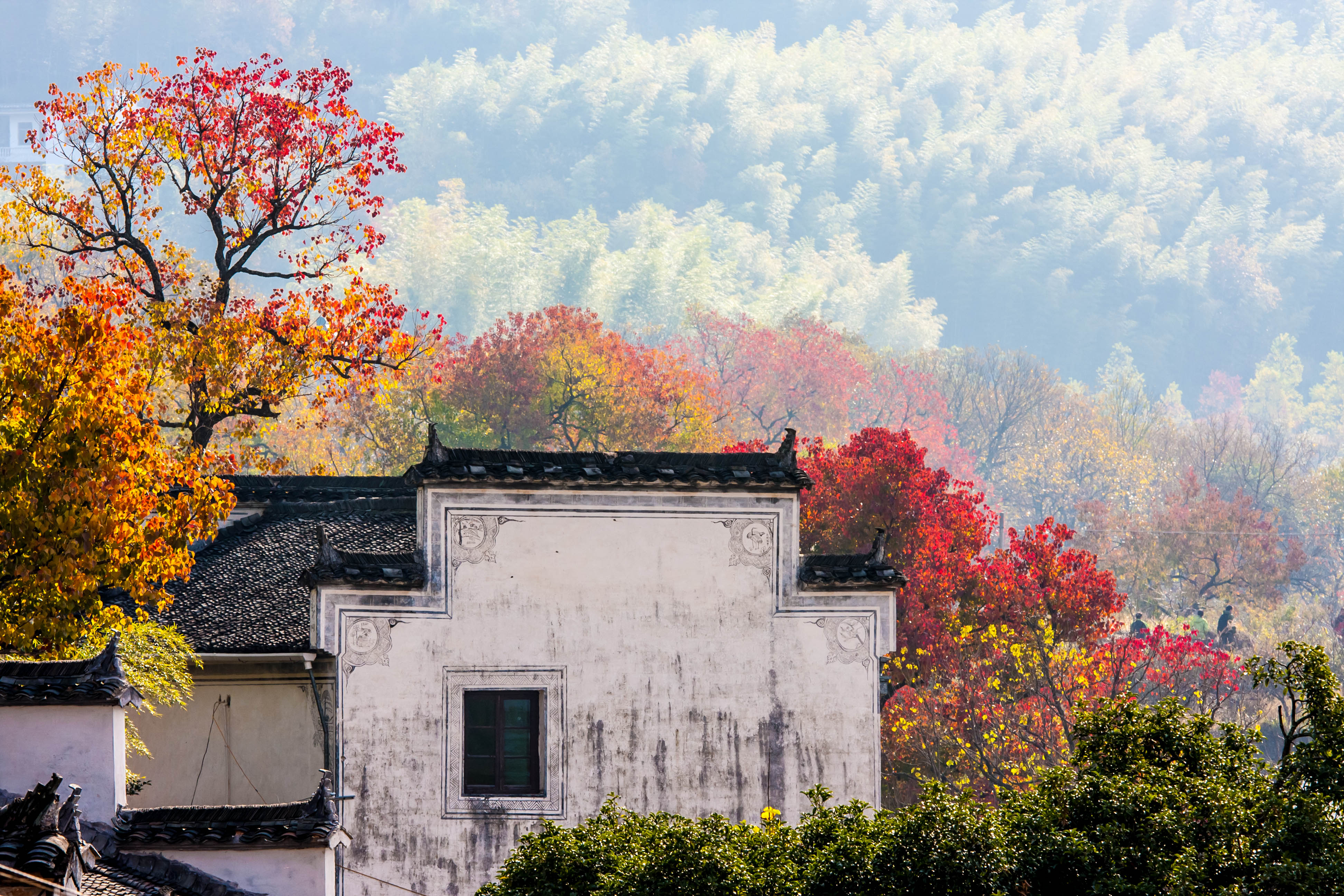 秋天塔川_游侠客摄影_摄影旅游站