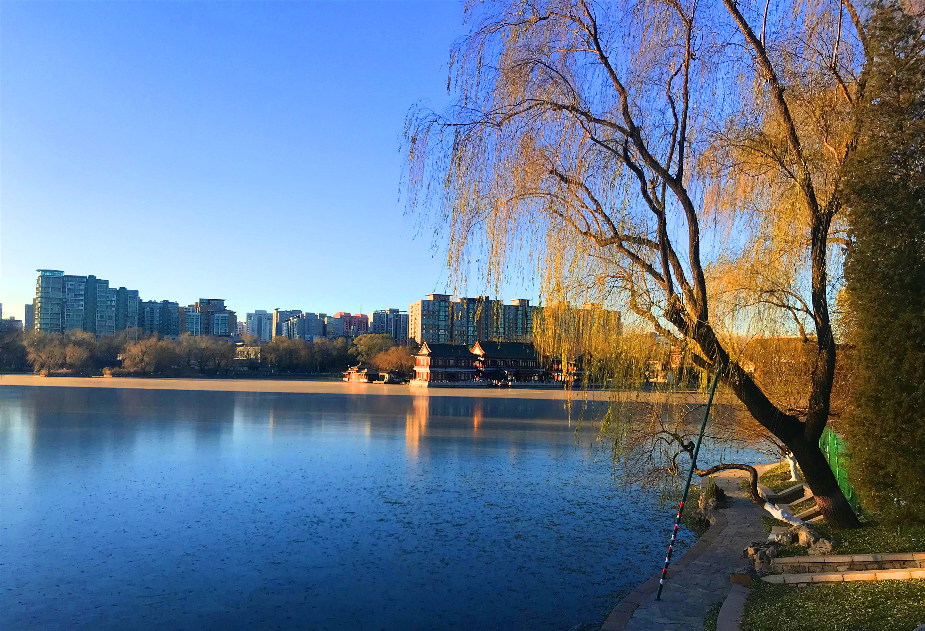 刘勇良手机摄影:北京冬天的早晨