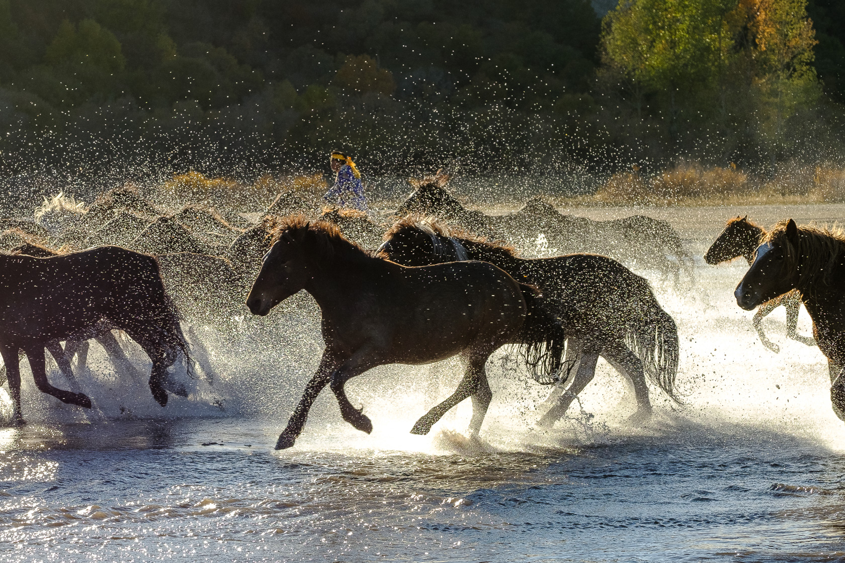 马儿跑起来踏土