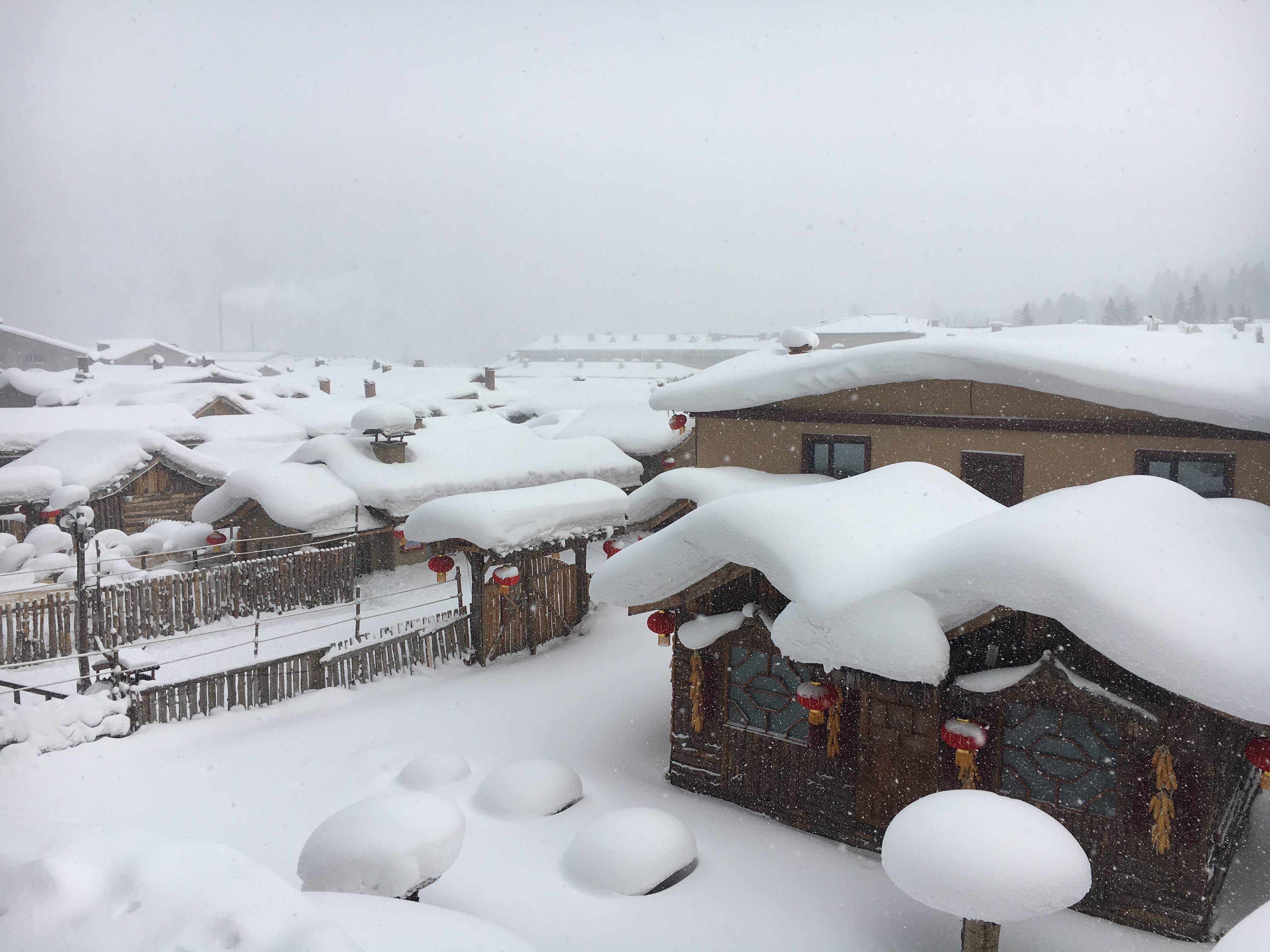 白雪皑皑的东北