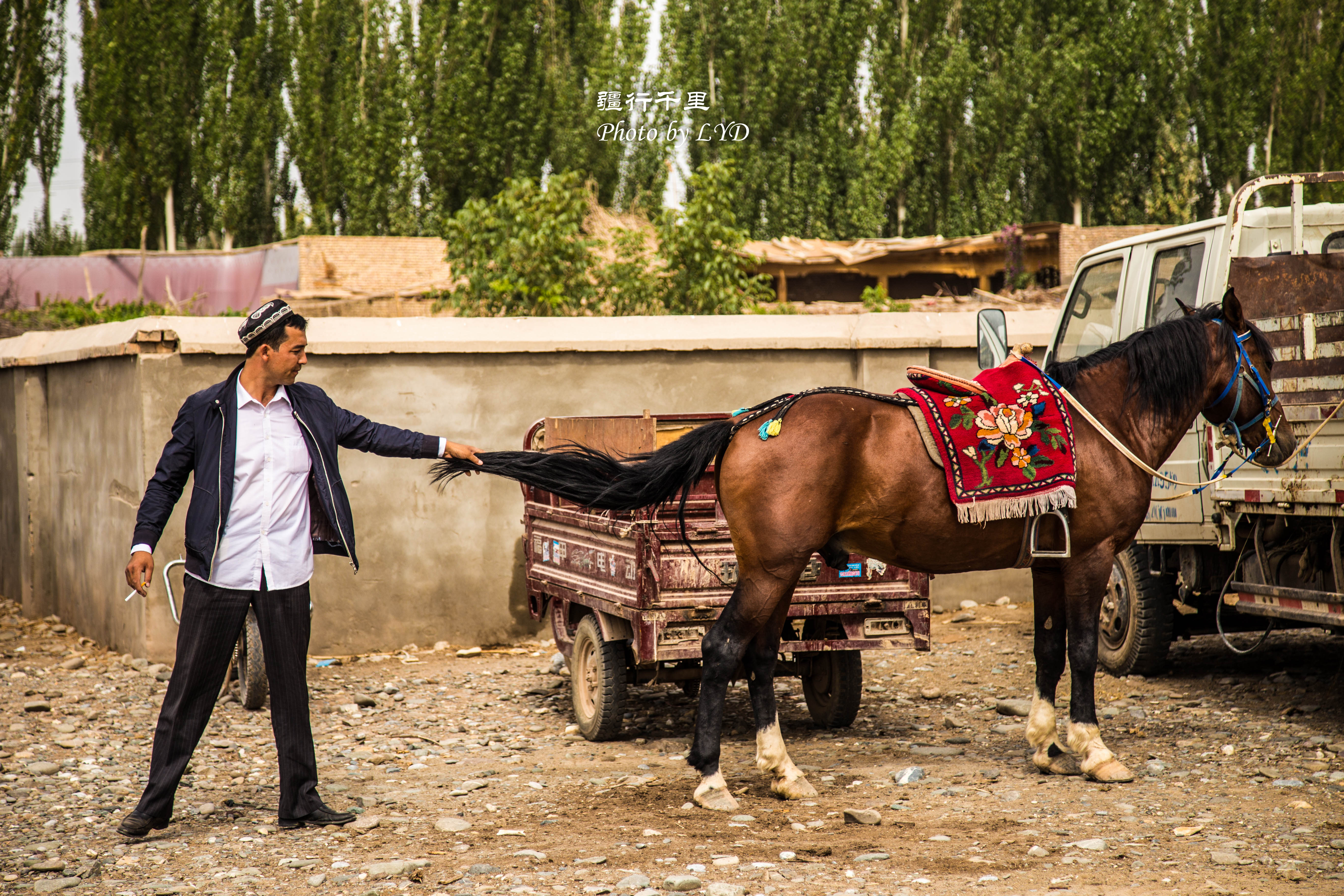 喀什—牛羊大巴扎