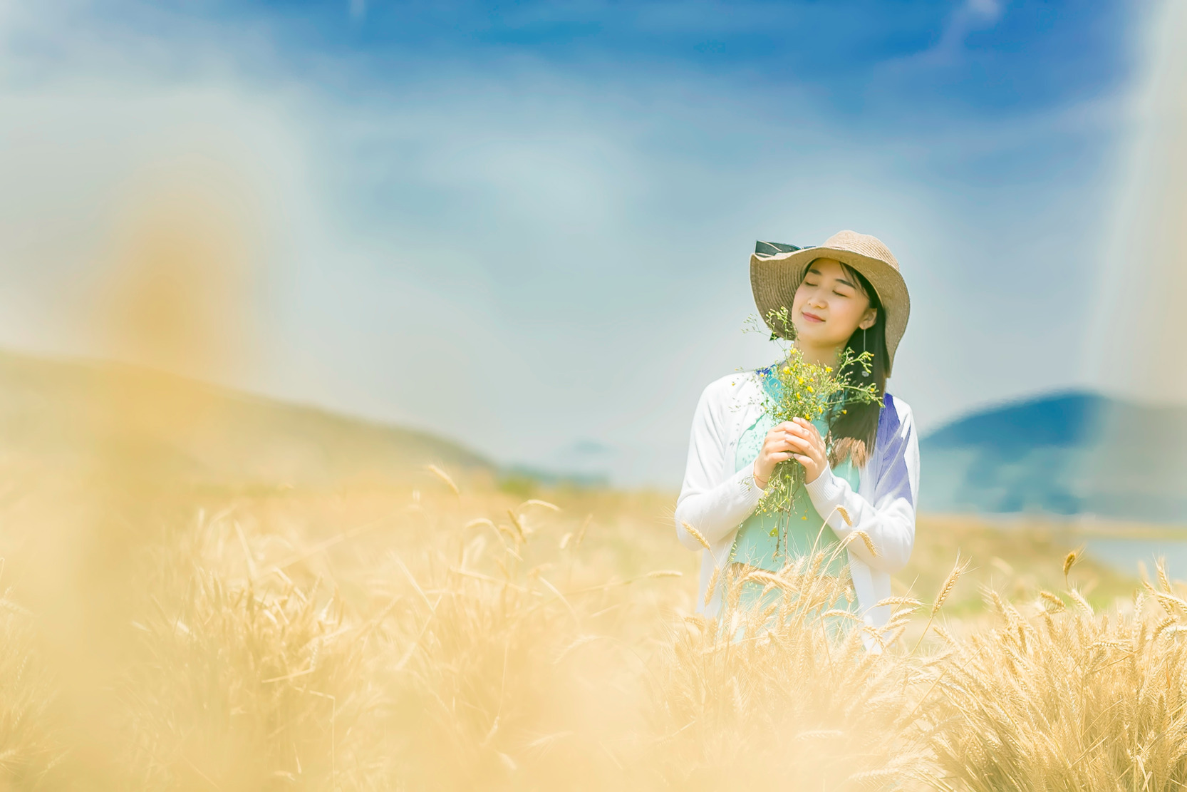 麦收时节 麦田守望者