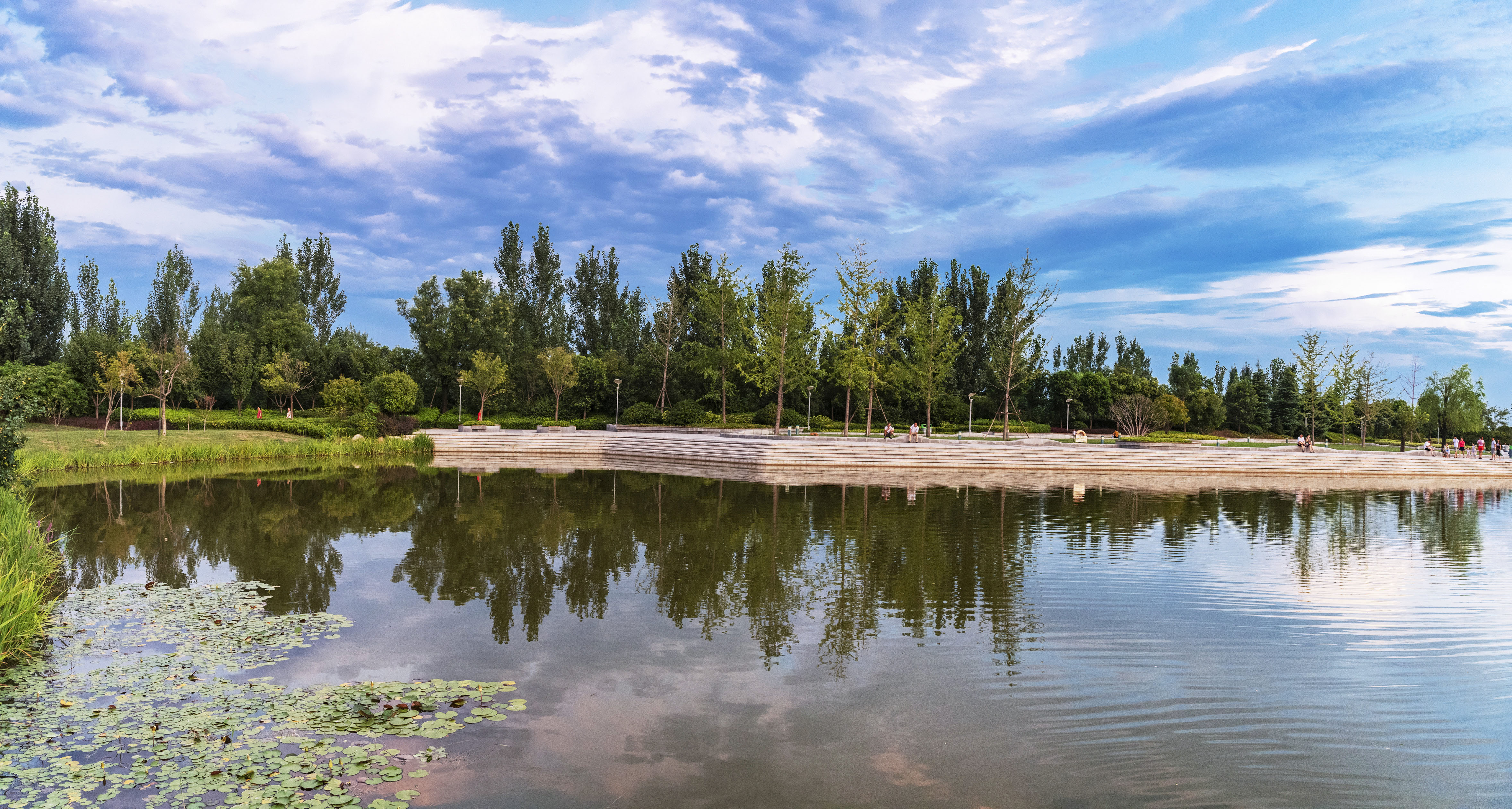 泾渭半岛的夏日