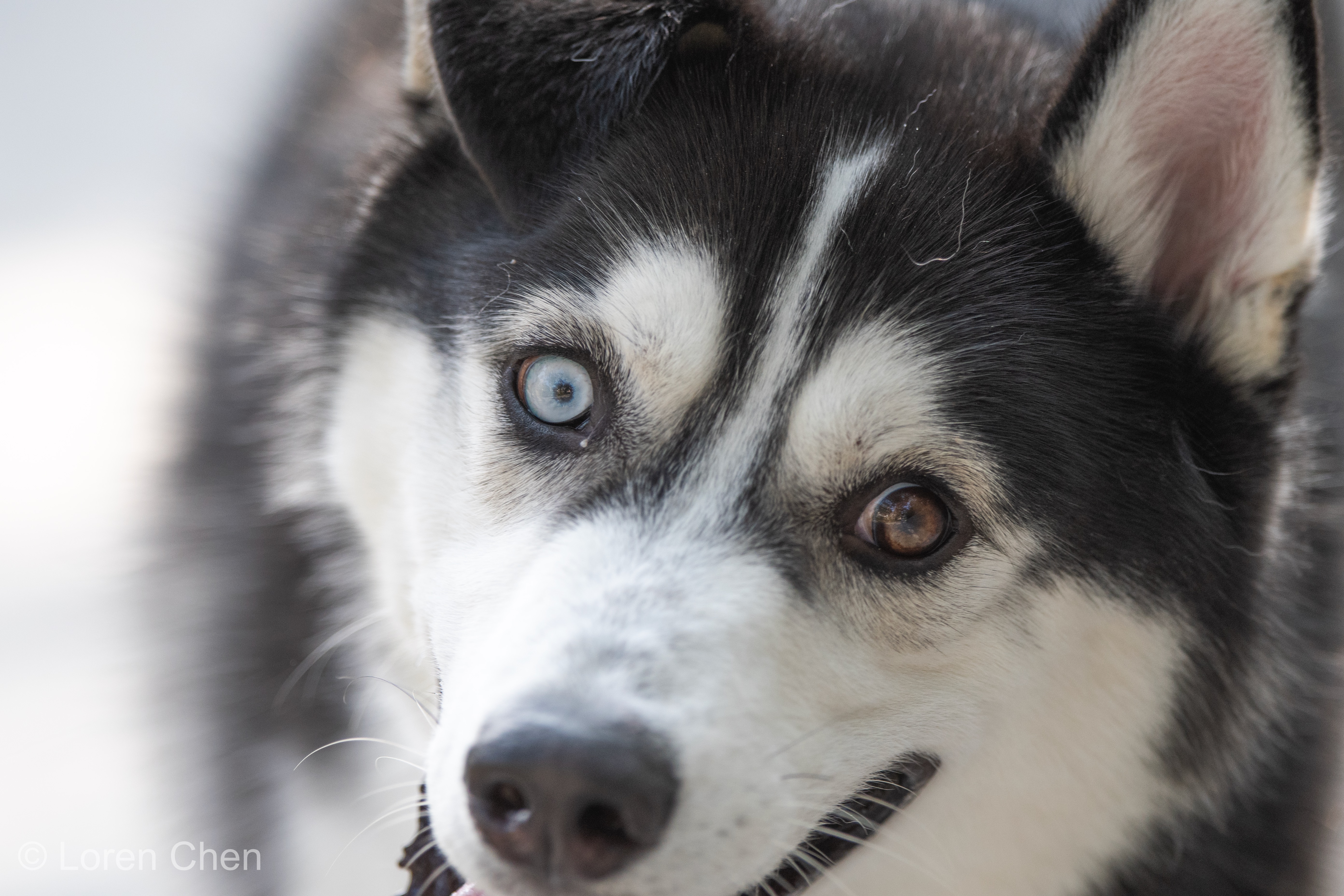 阴阳眼_游侠客摄影_摄影旅游站