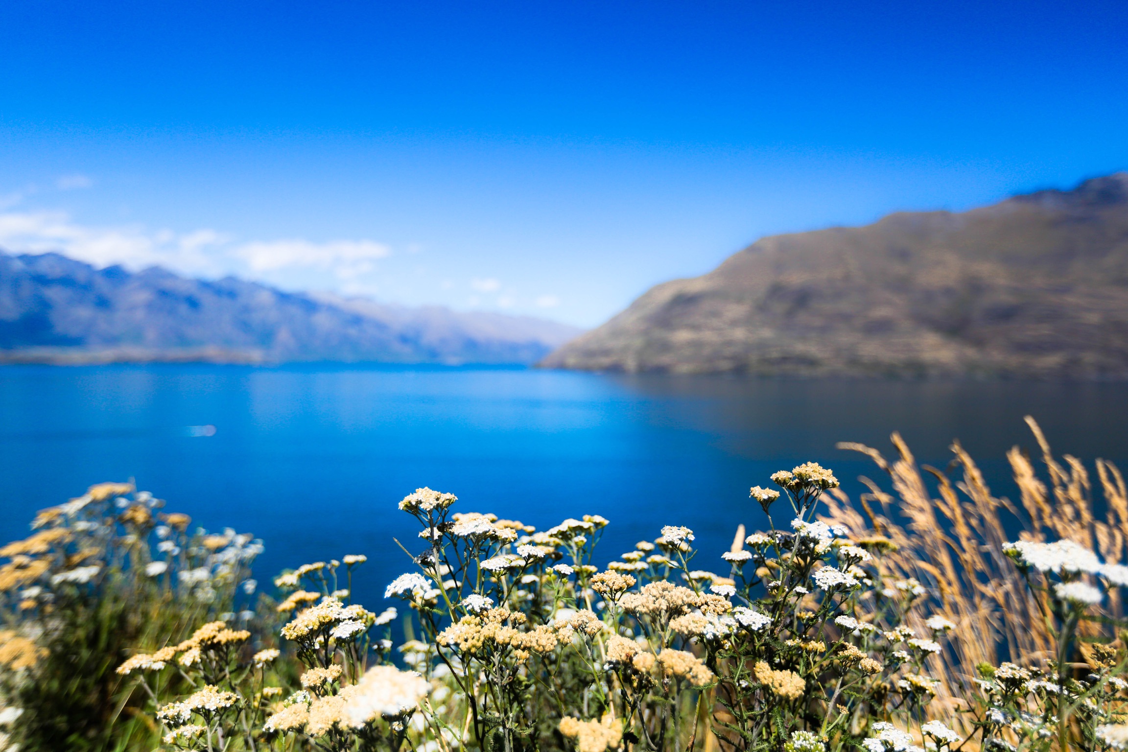 蓝色新西兰_游侠客摄影_摄影旅游站