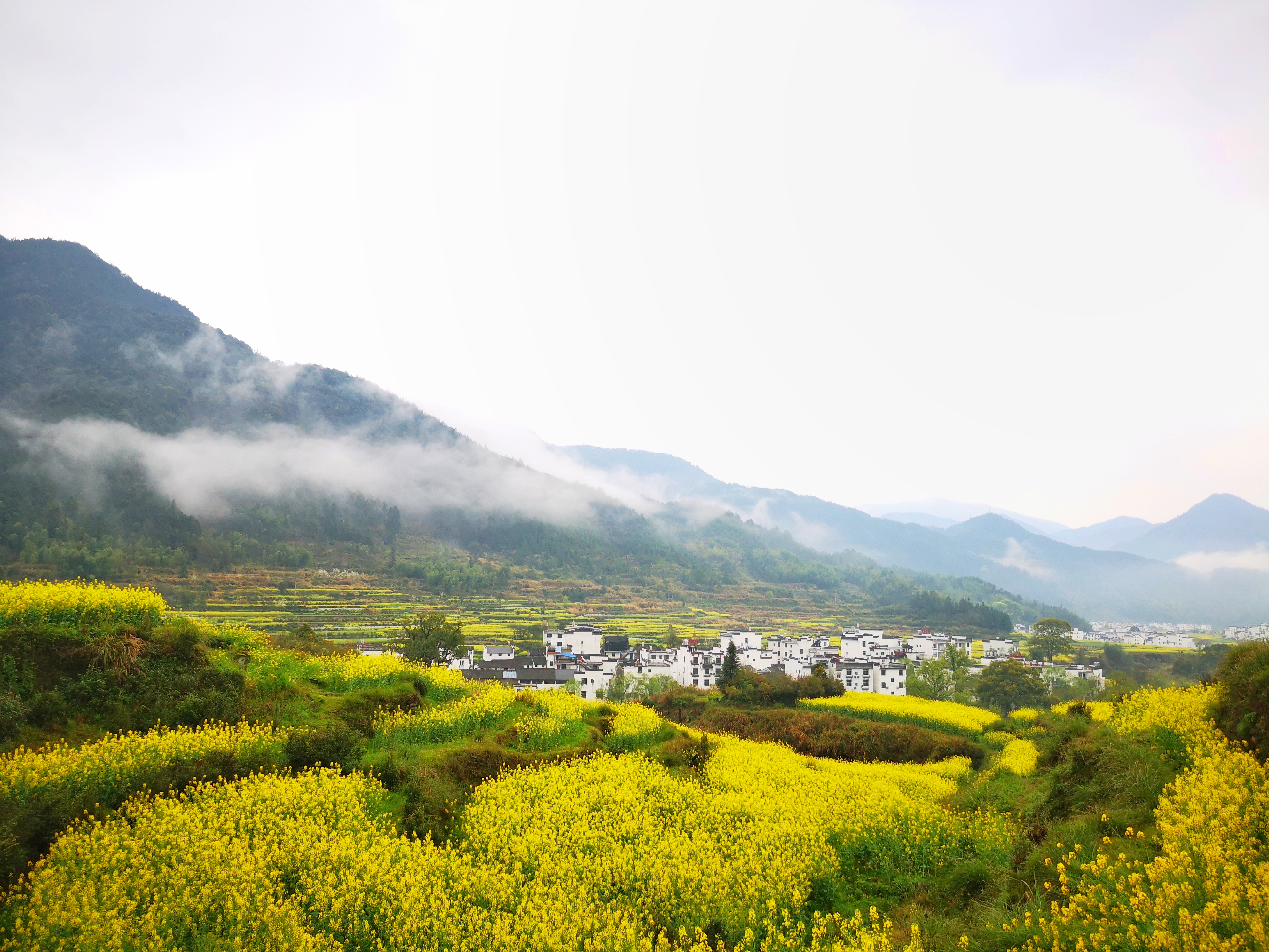 婺源油菜花梯田人生最少要看一次油菜花海