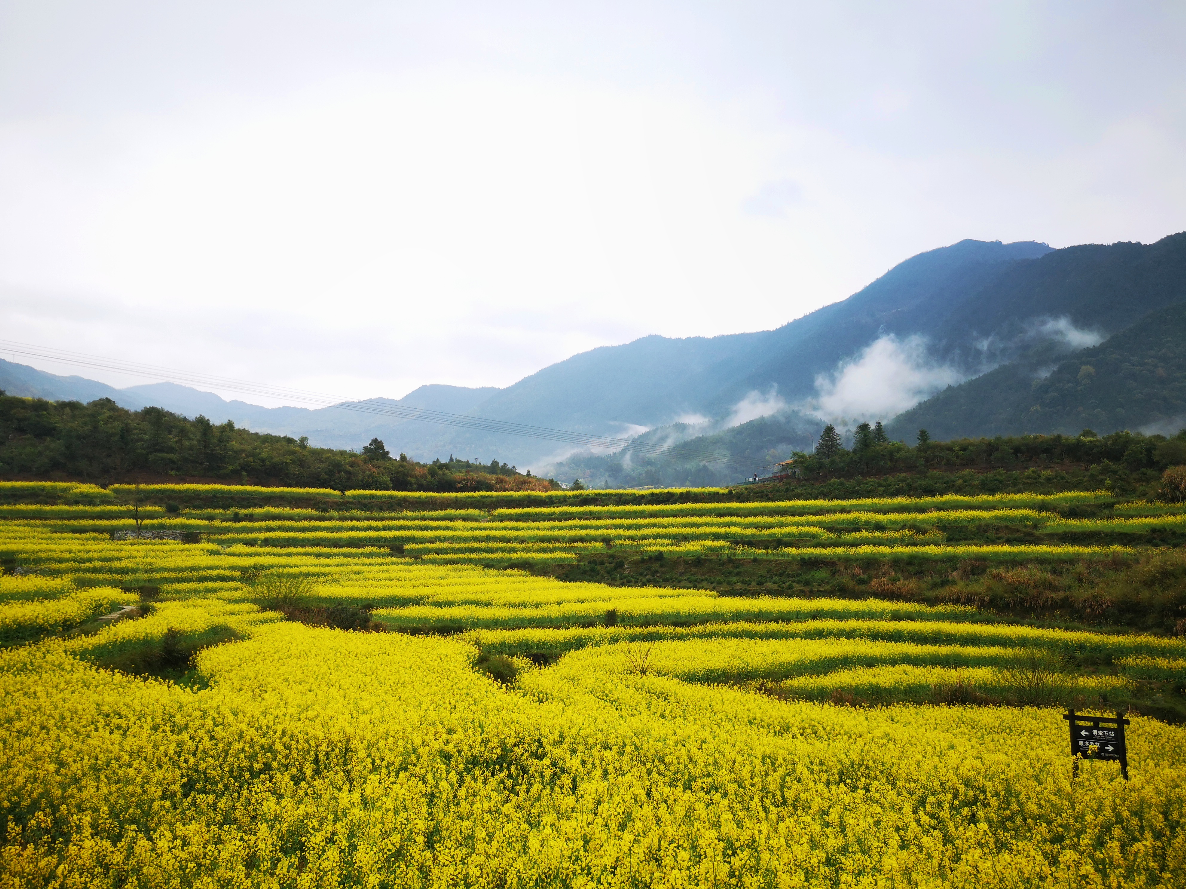 婺源油菜花梯田人生最少要看一次油菜花海