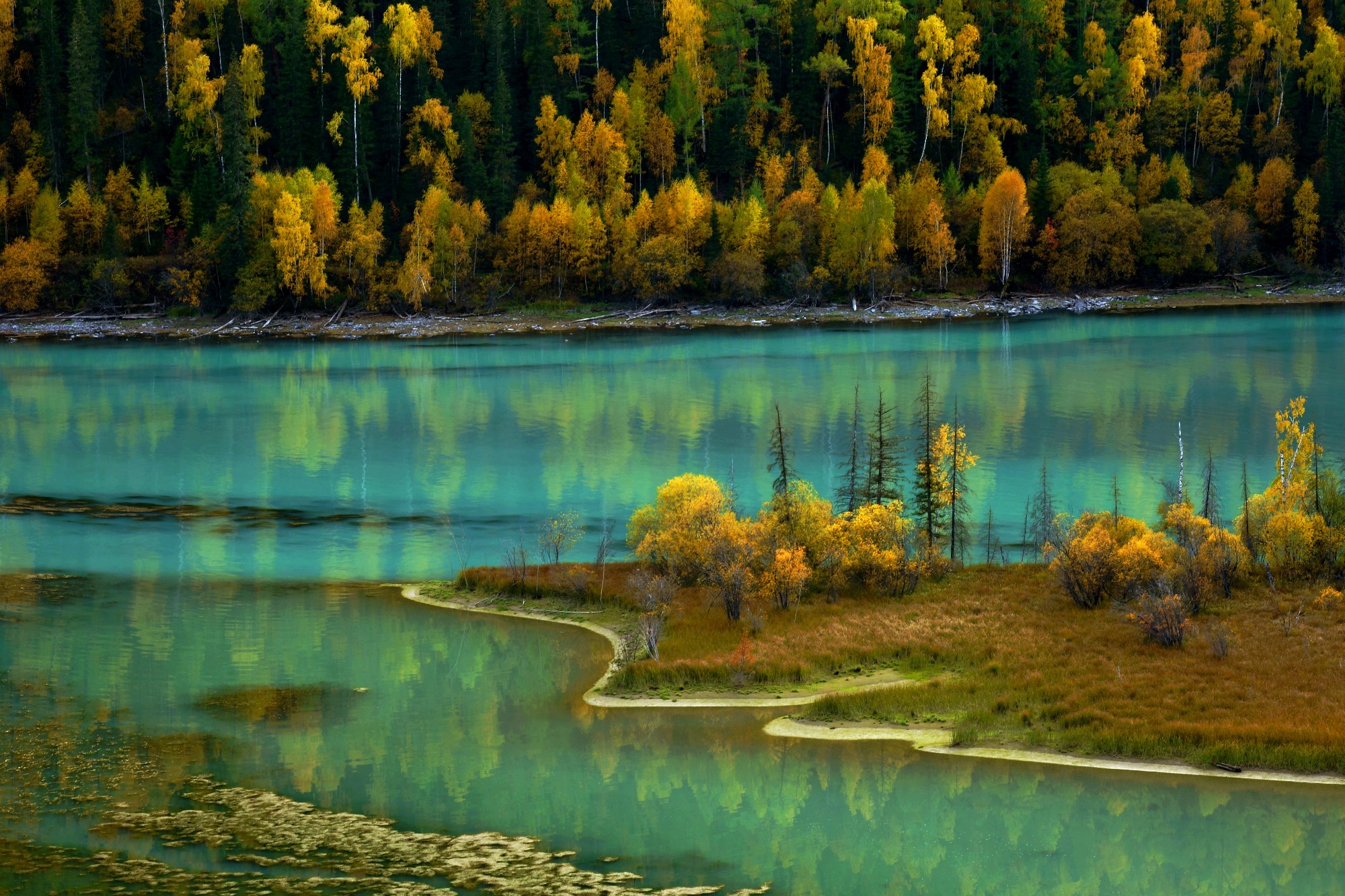 2020木垒胡杨林旅游景点推荐,木垒胡杨林热门景点,木垒胡杨林景点大全