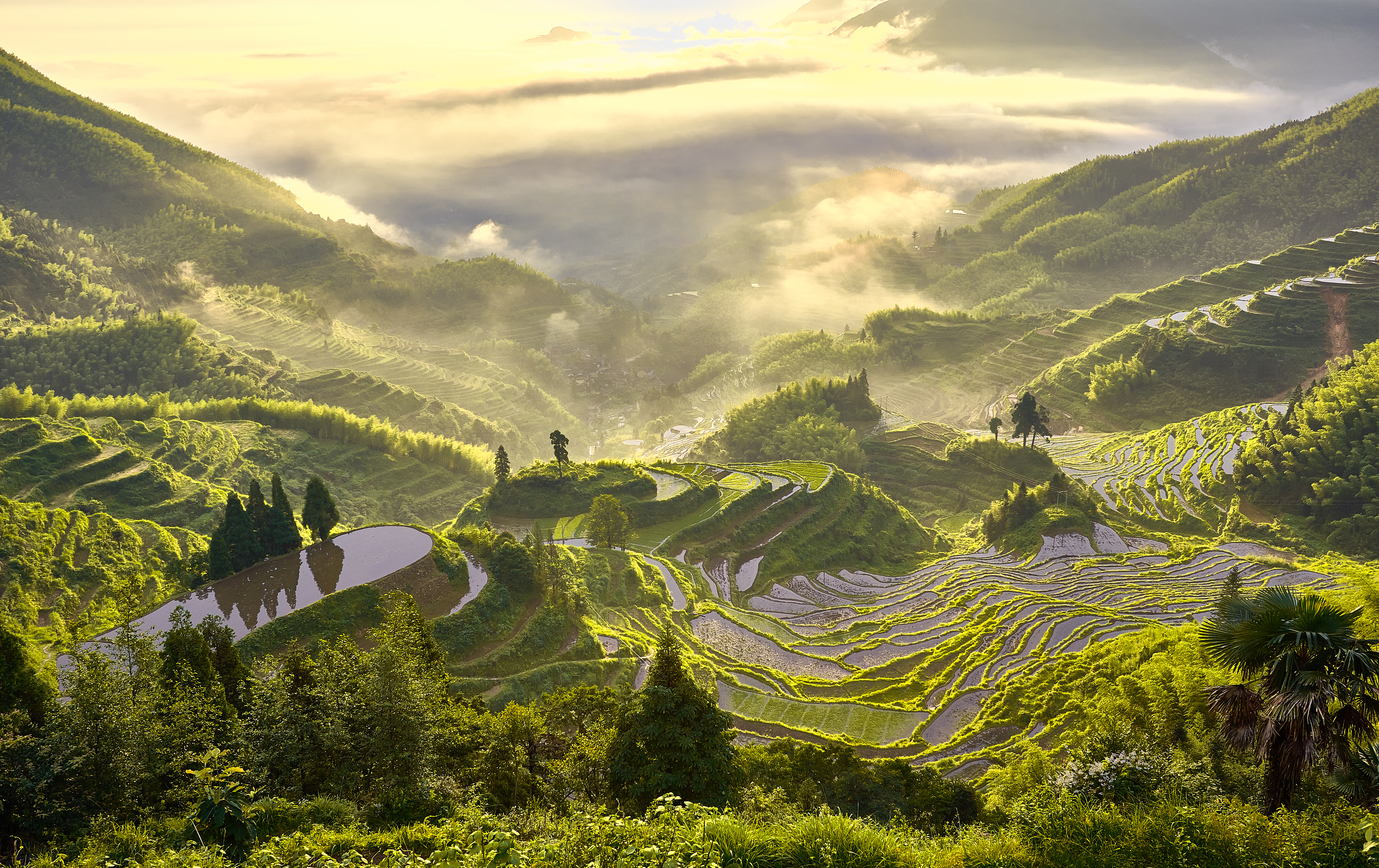 最新_雲和梯田_遊俠客攝影_攝影旅遊站