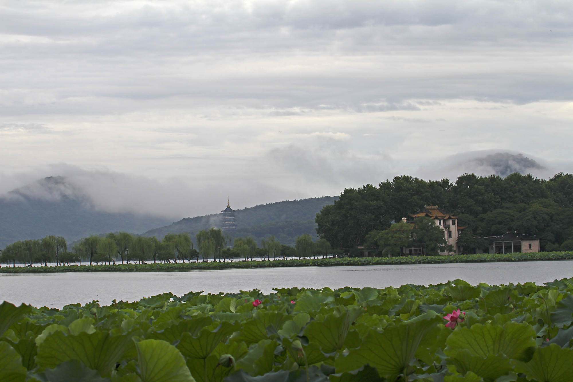 久雨初霁之杭州西湖清晨