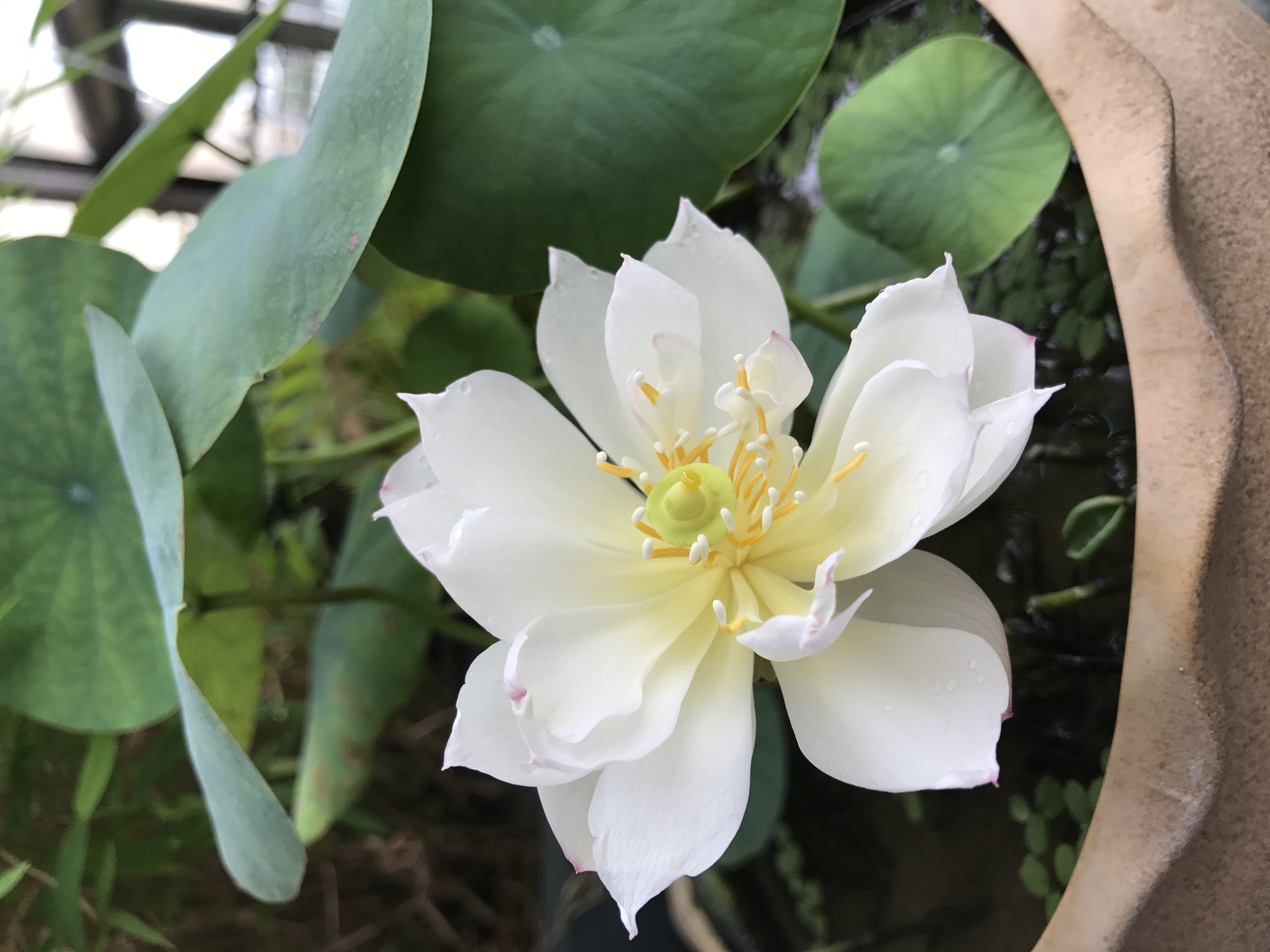 1200_1600竖版 竖屏