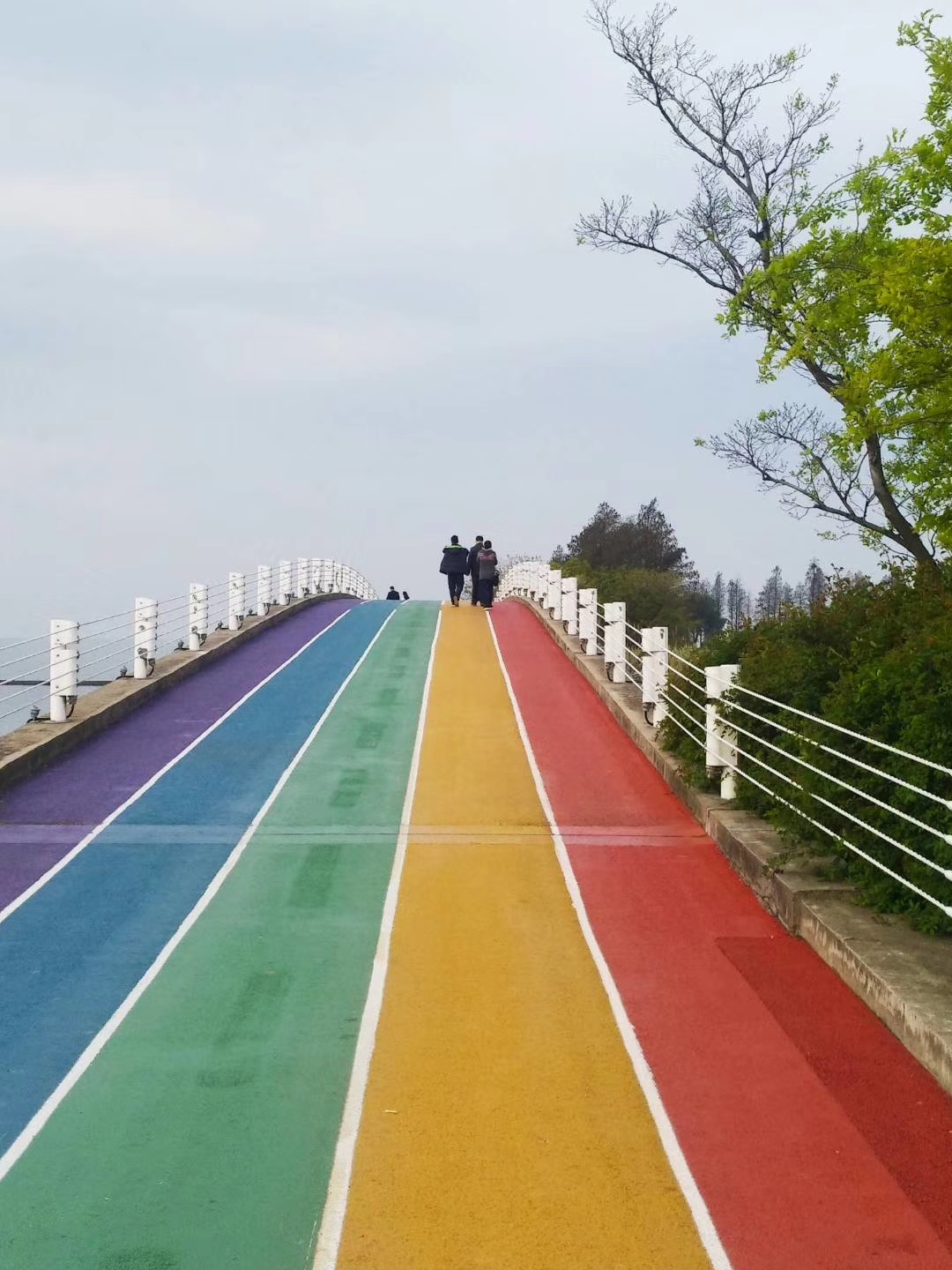 无锡彩虹跑道 贡湖湾图片