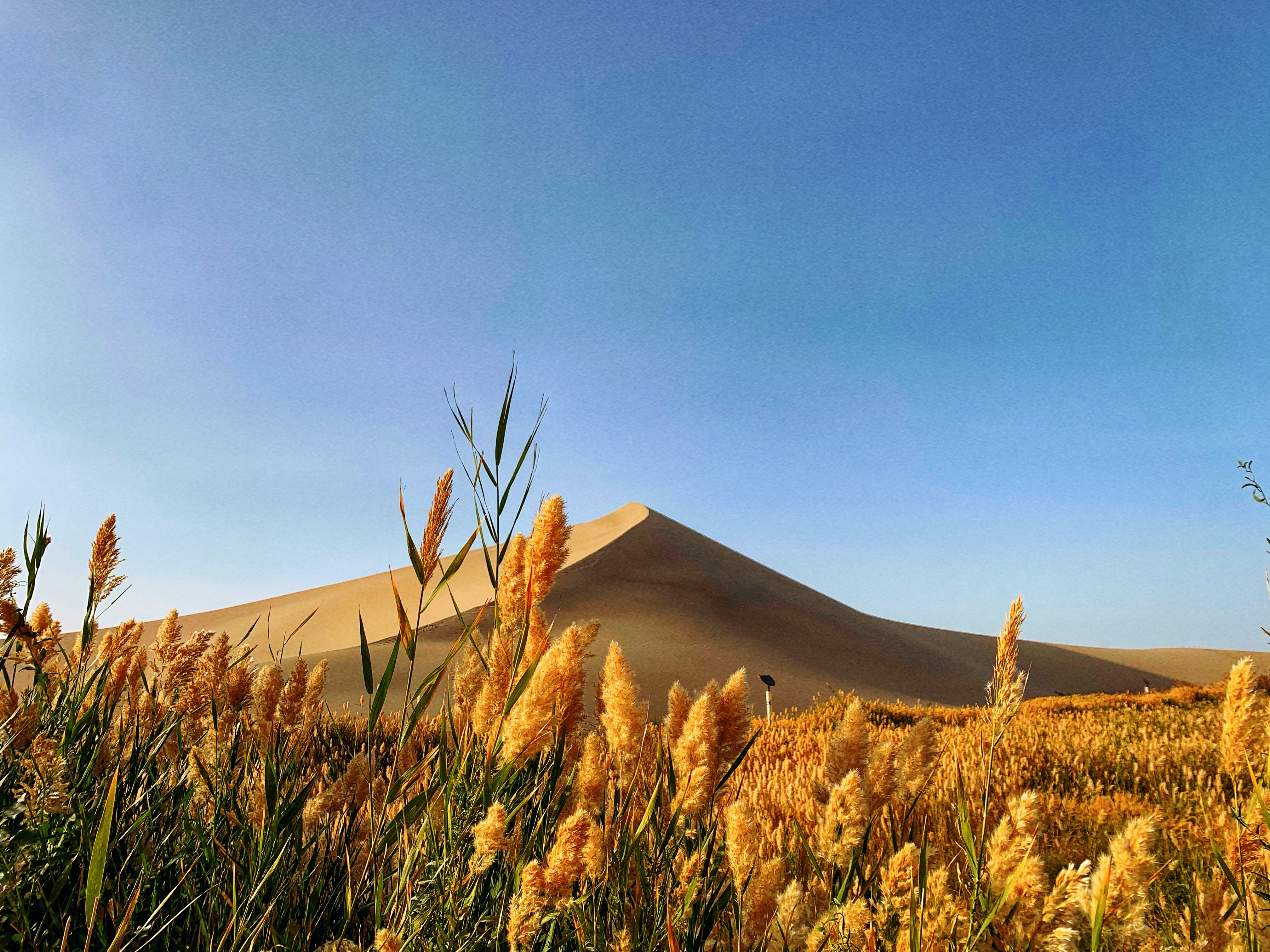 秋意鸣沙_游侠客摄影_摄影旅游站