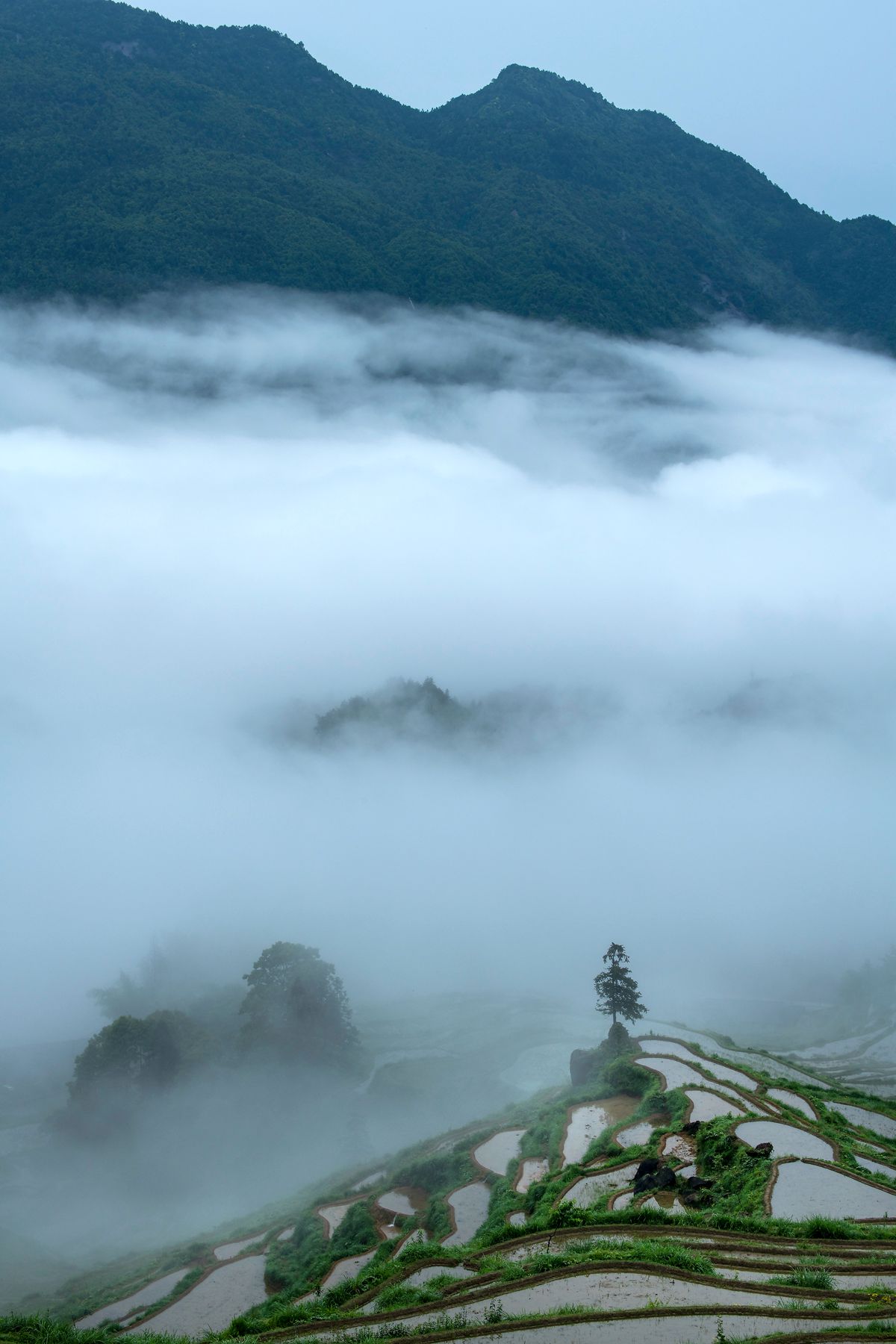最新_云和梯田_游侠客摄影_摄影旅游站