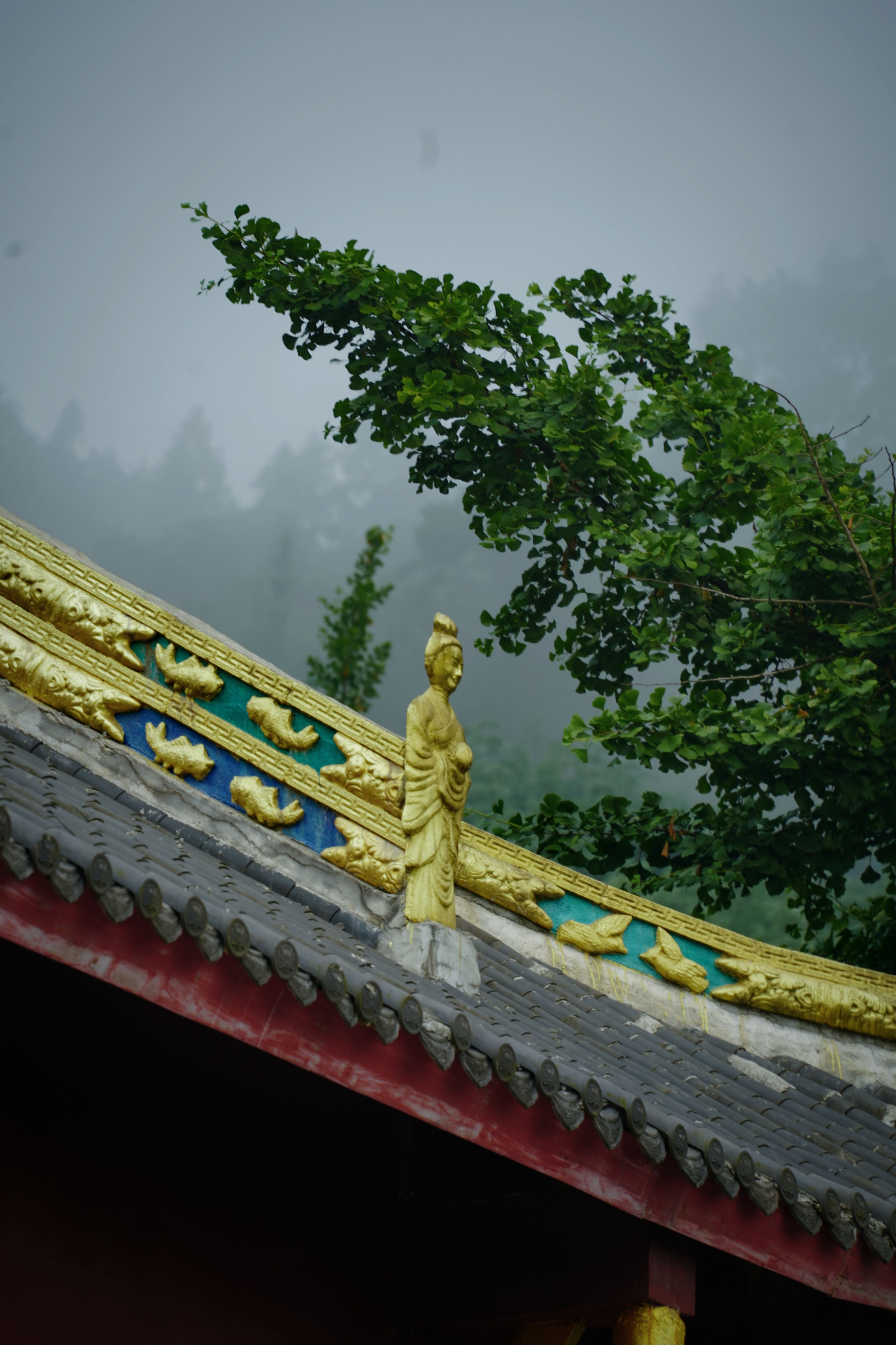 云华山都江堰